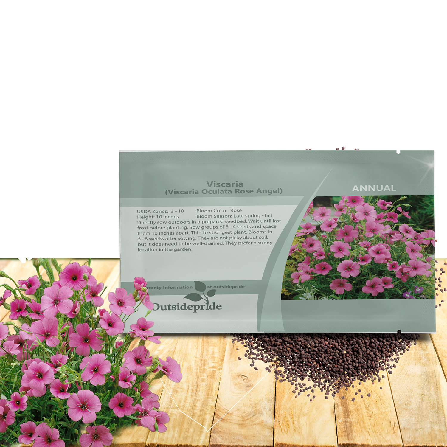 Viscaria Rose Angel Flowers