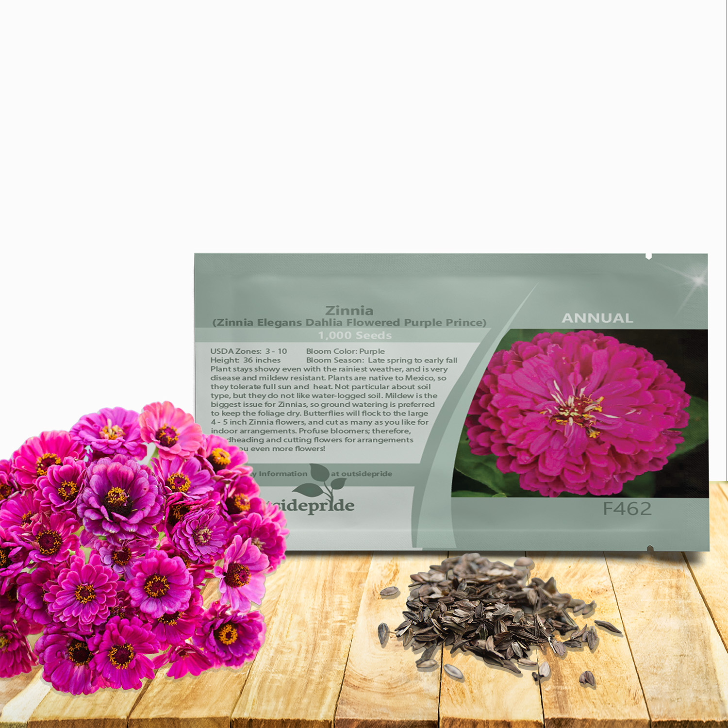 Zinnia Purple Prince Seed Packet