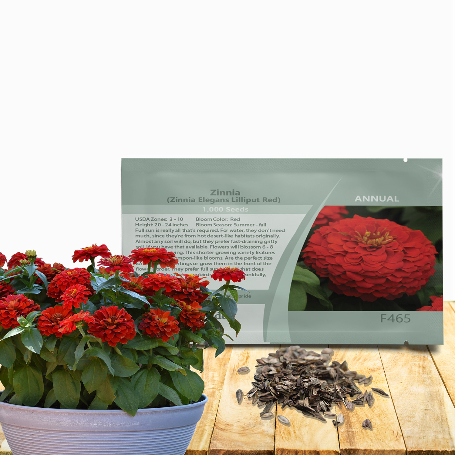 Zinnia Red Flowers