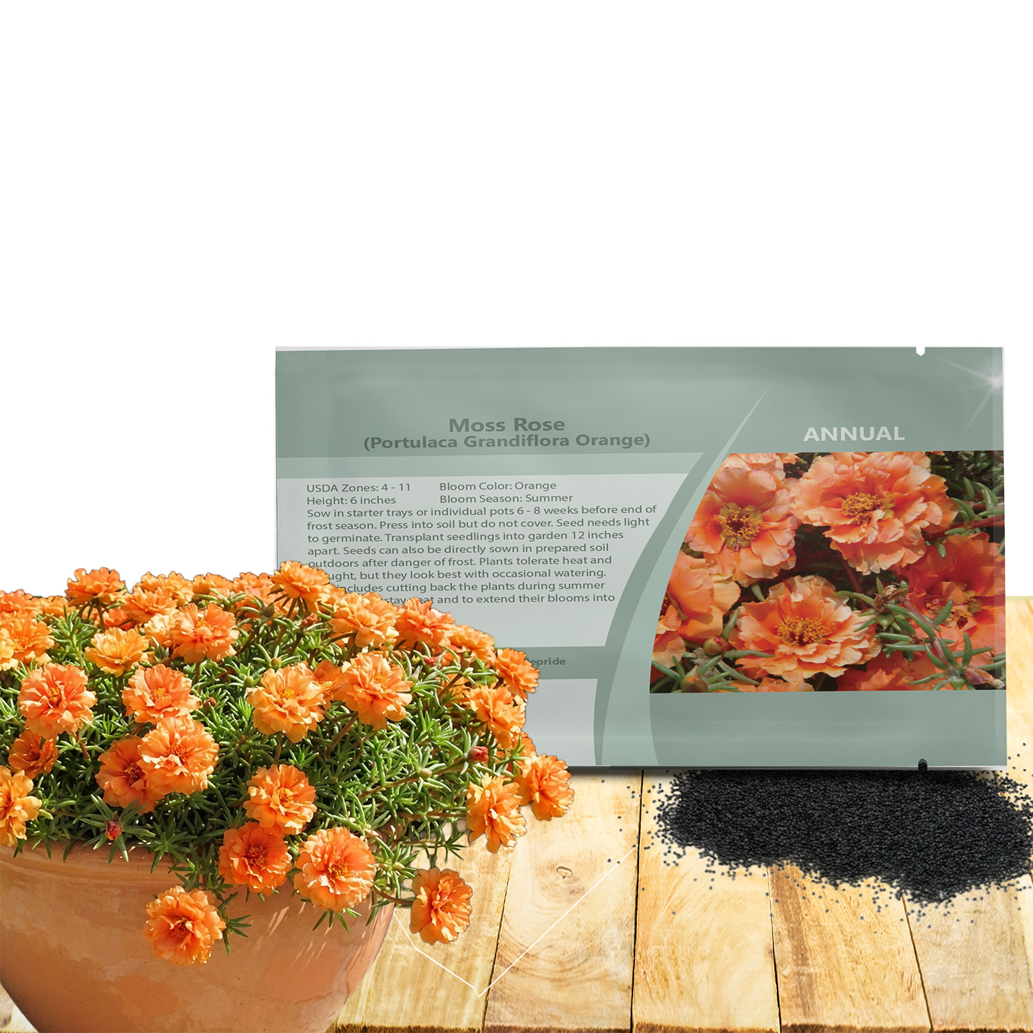 Orange Moss Rose Seed Packet