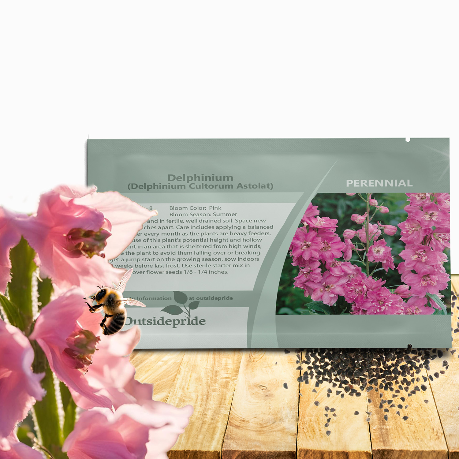 Delphinium Astolat Cut Flower Seeds