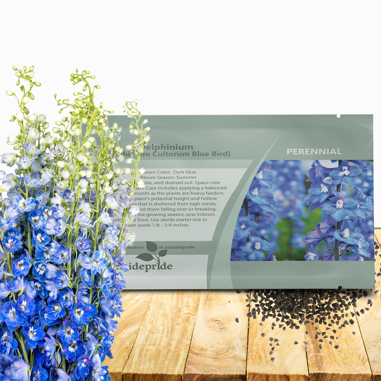Perennial Delphinium Blue Bird Seed Packet