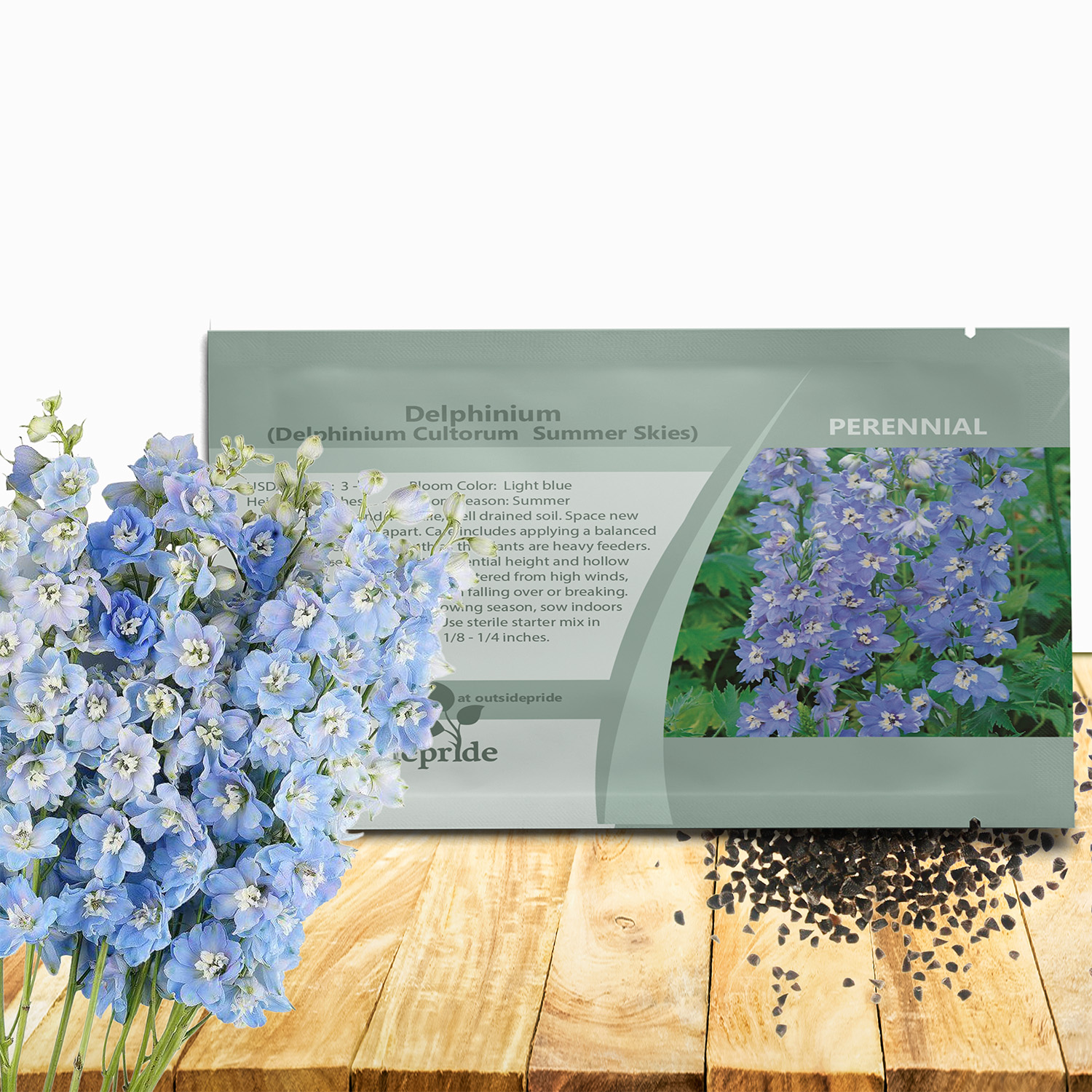 Delphinium Summer Skies Tall Flowers