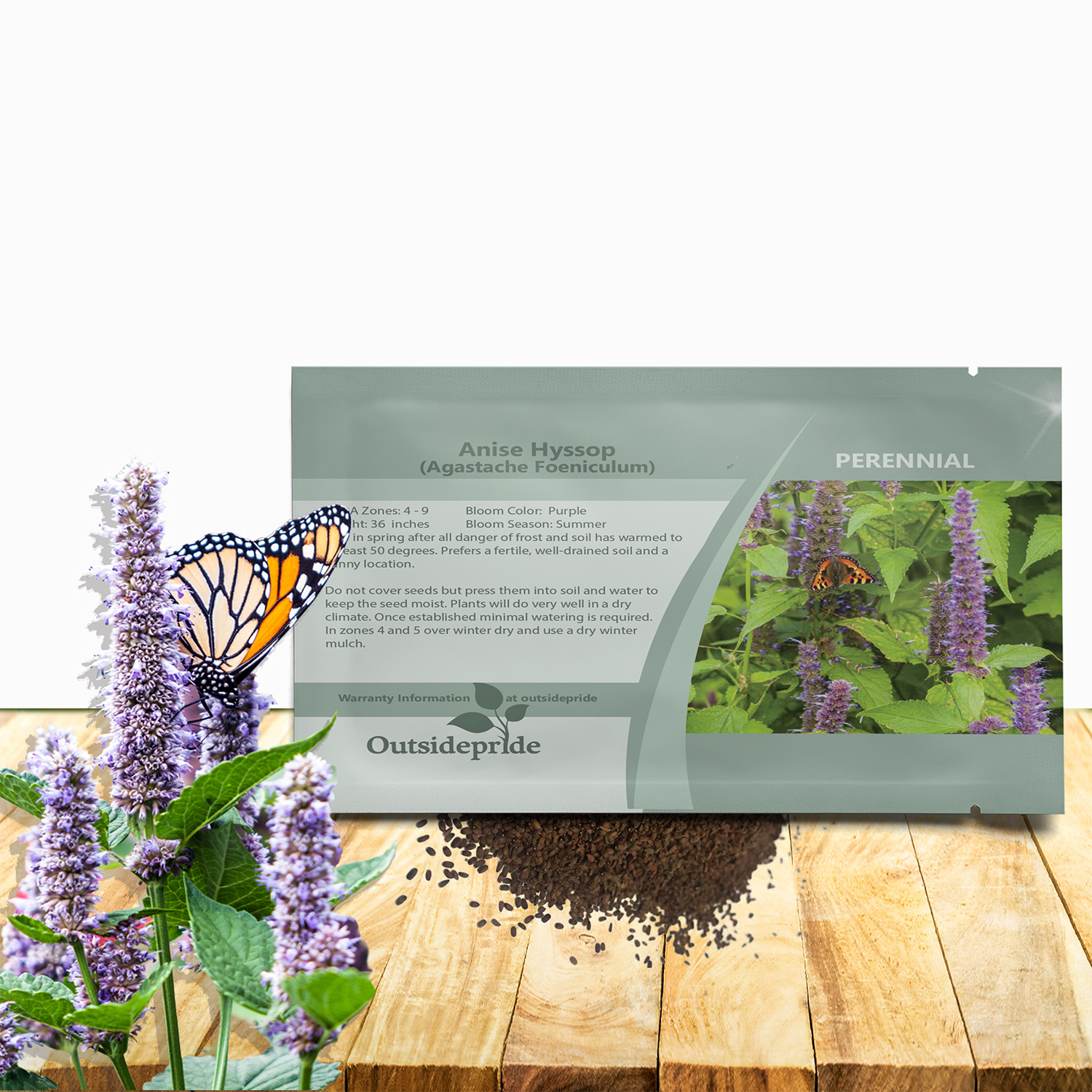 Anise Hyssop Herb Seed Packet For Planting