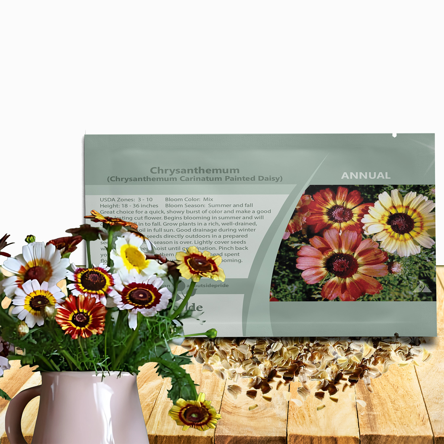 Chyrsanthemum Painted Daisy Seed Packet
