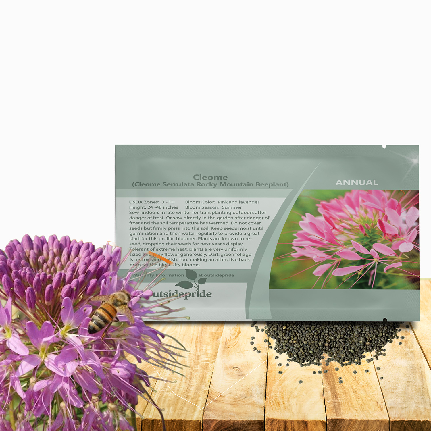 Cleome Serrulata Flower Seed Packet For Planting