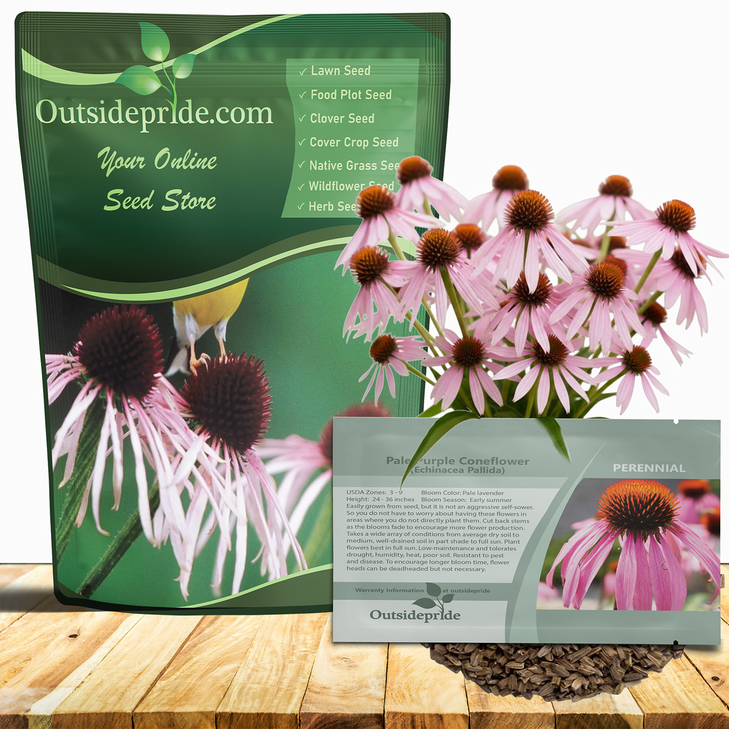 Echinacea Pallida Plants