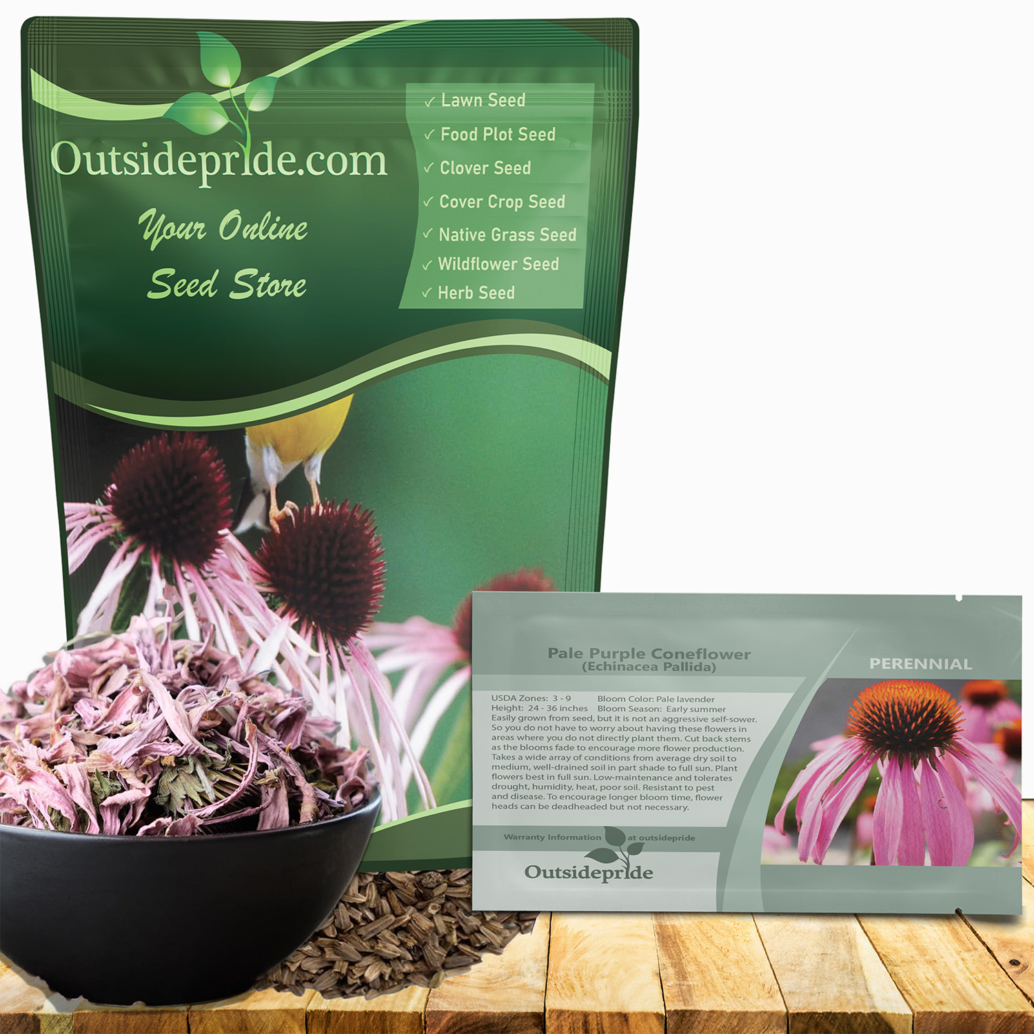 Echinacea Pallida Plants