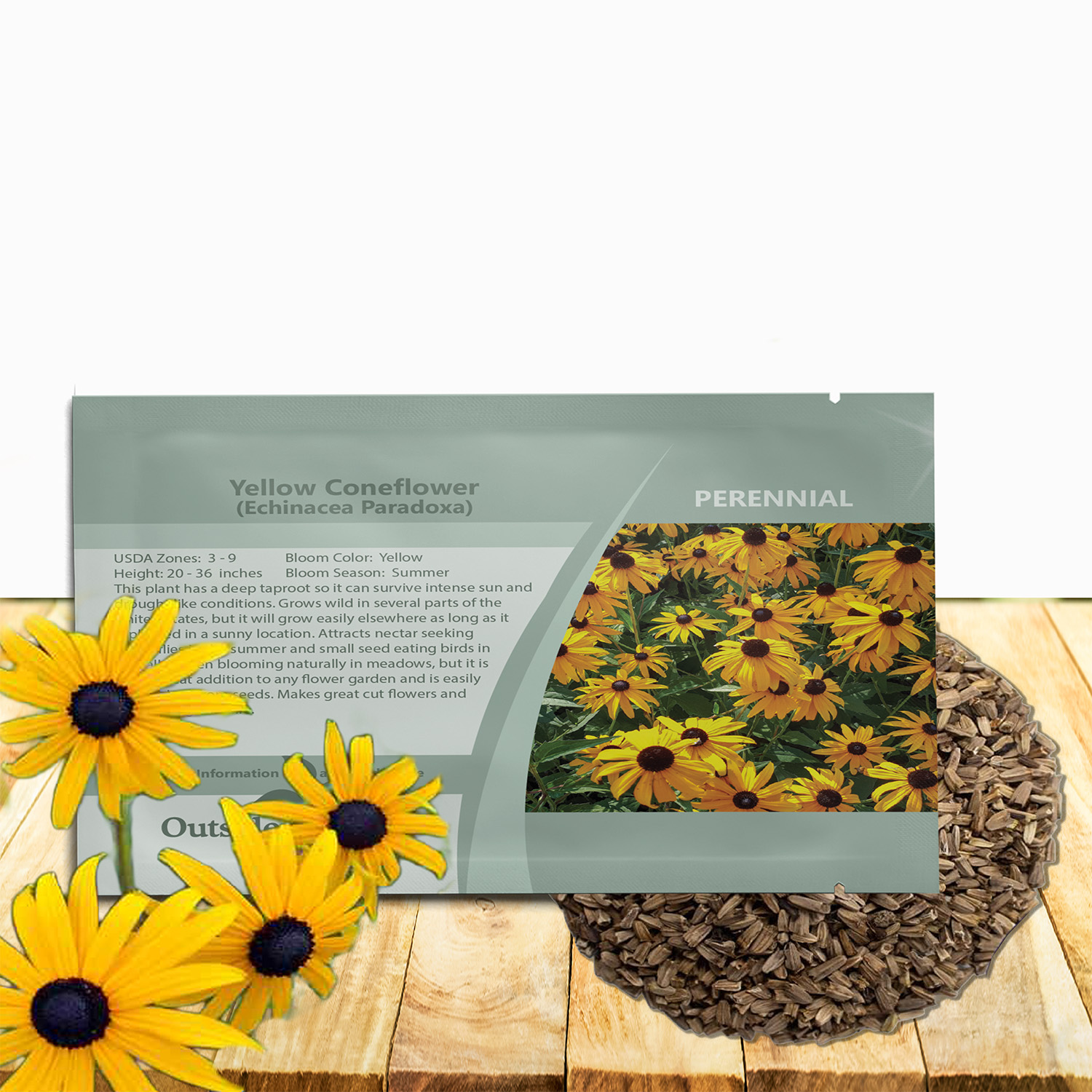 Perennial Yellow Coneflower Seed Bag
