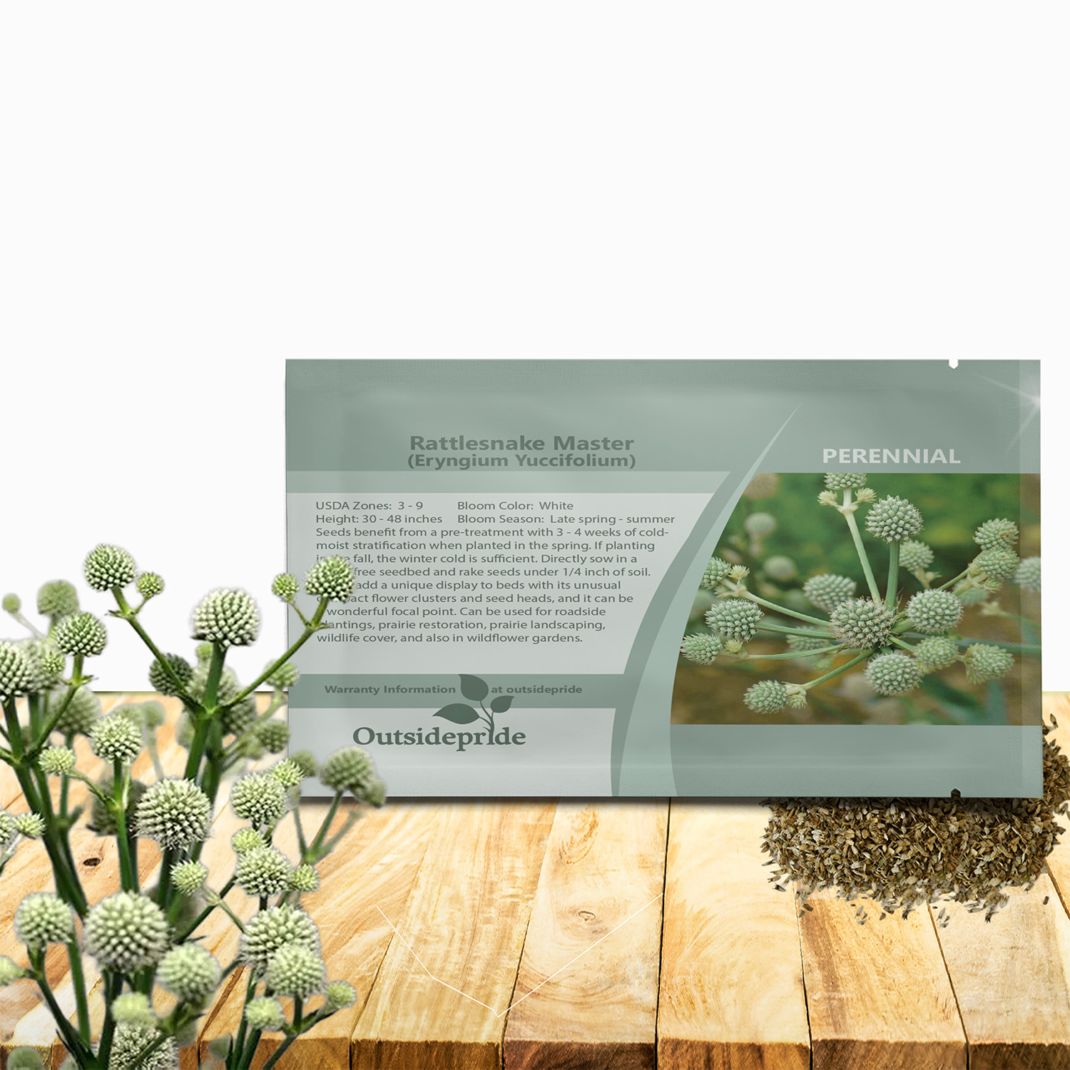 Perennial Rattlesnake Master Seed Packet For Planting