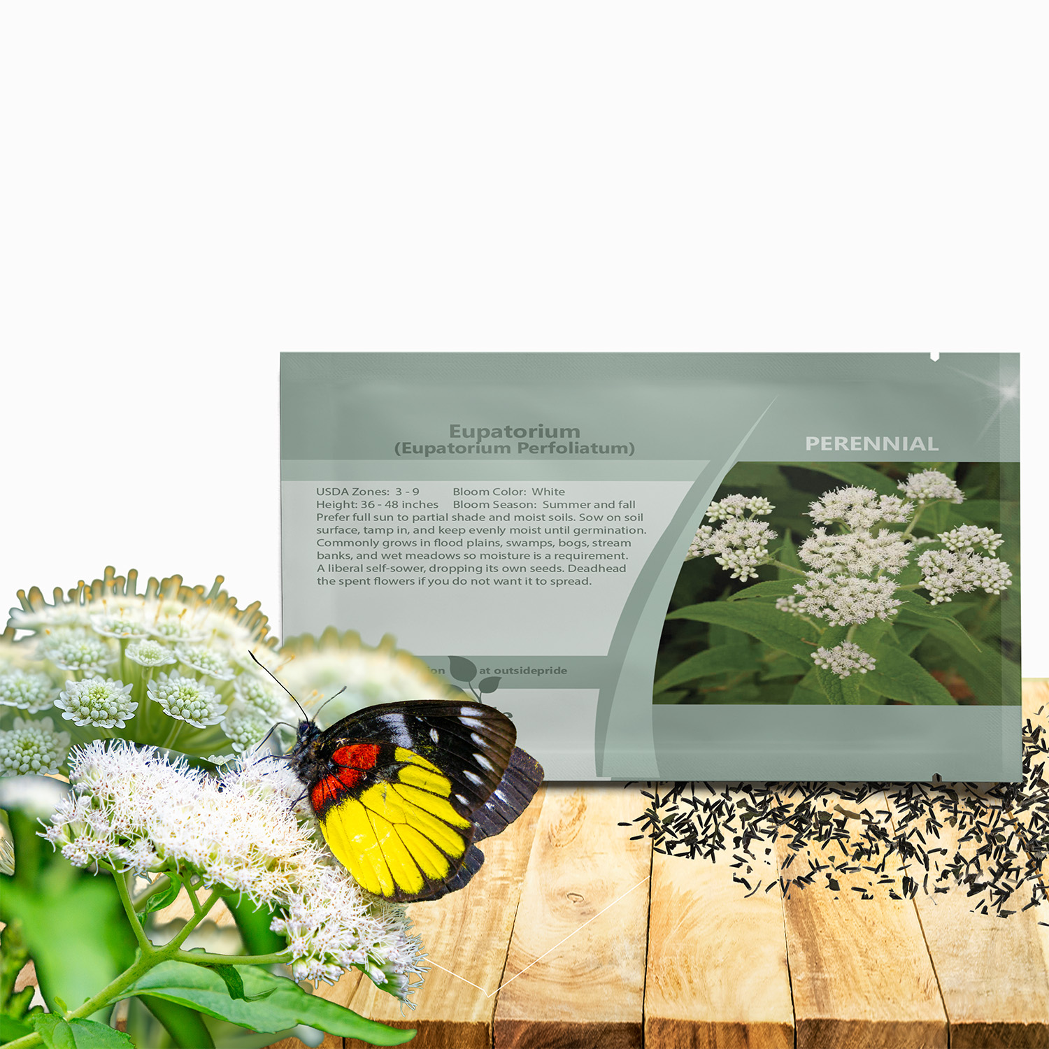 Eupatorium Perfoliatum Seed Packet For Planting
