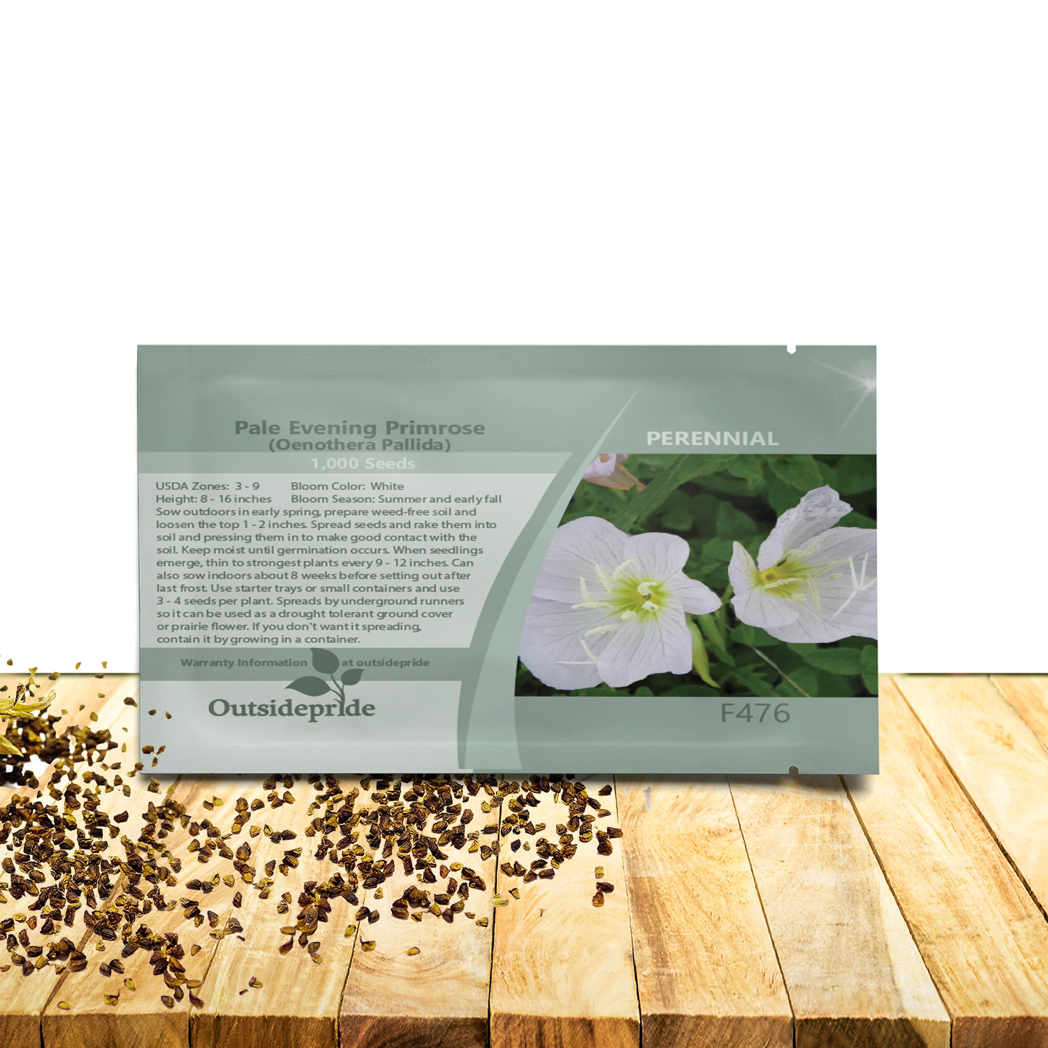 Perennial White Evening Primrose Planting Directions