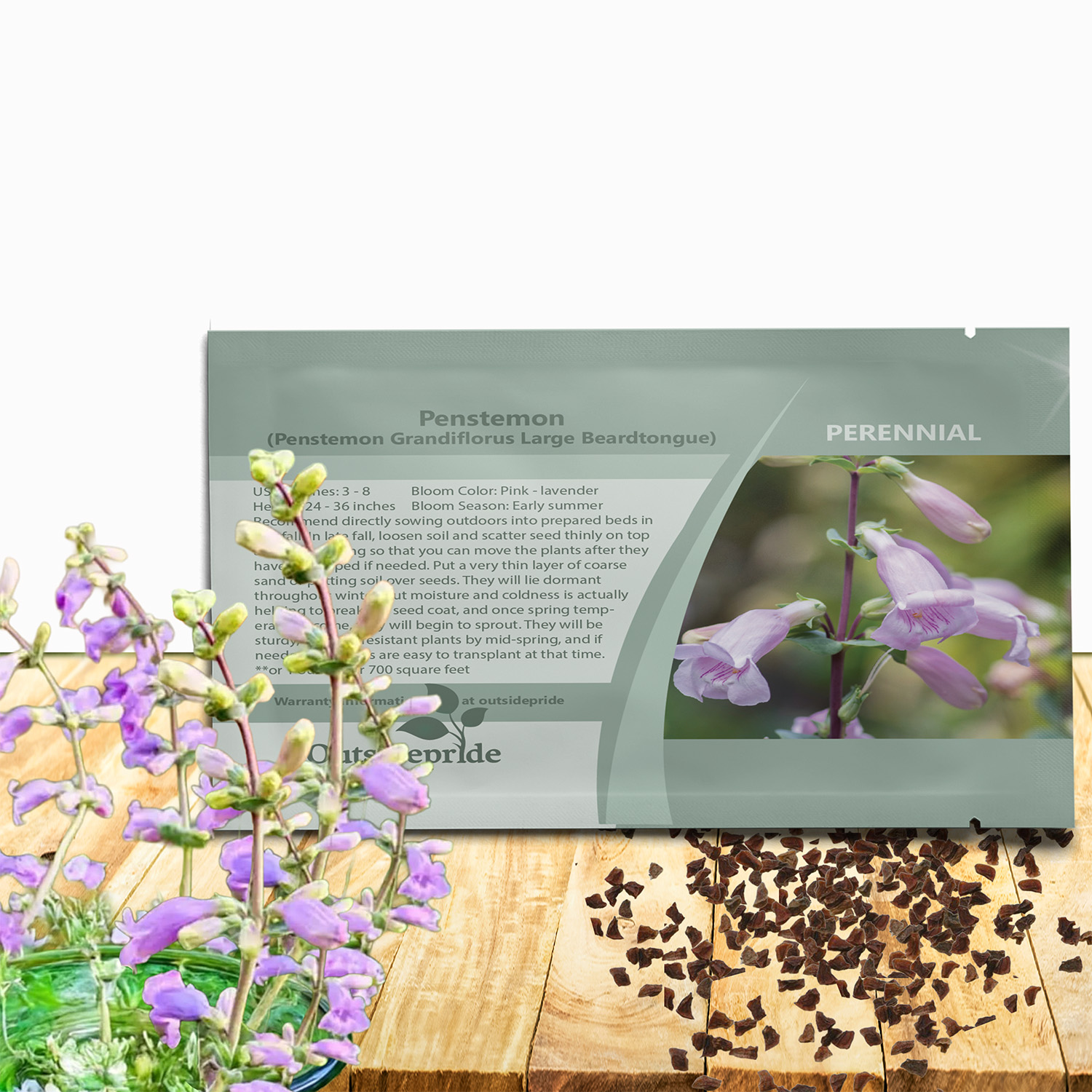 Penstemon Shell-leaf Seed Packet