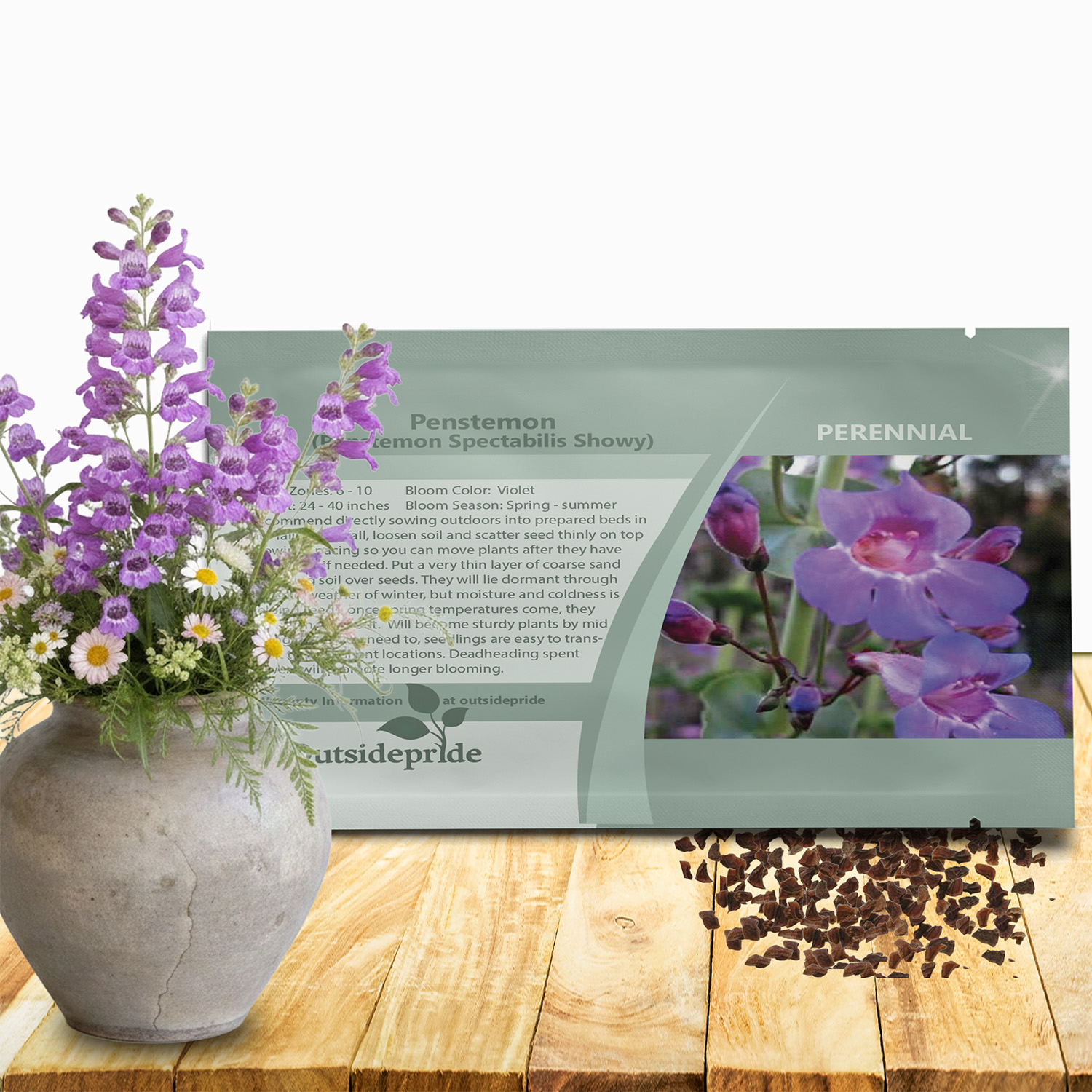 Penstemon Showy Seed Packet