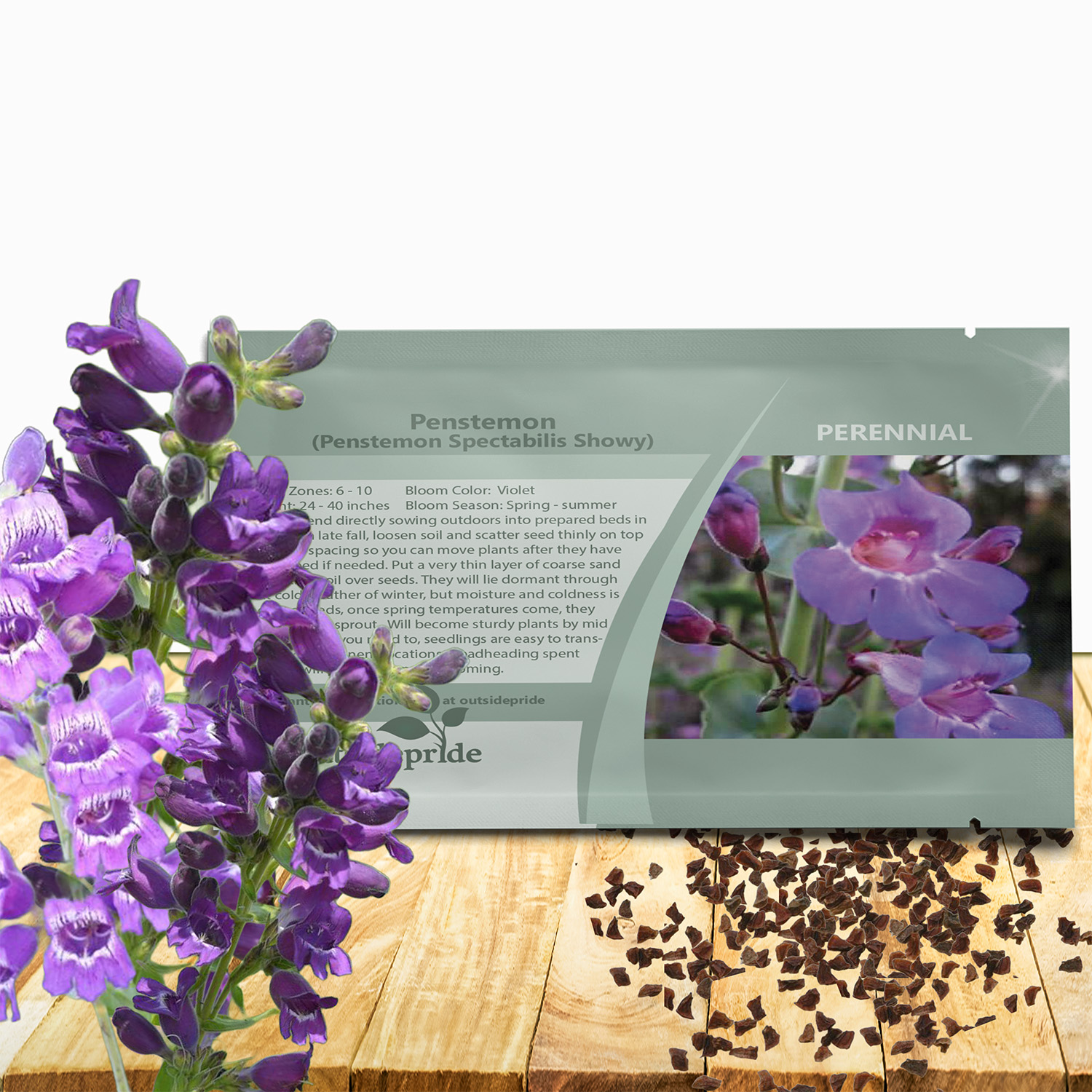 Penstemon Showy Seed Packet