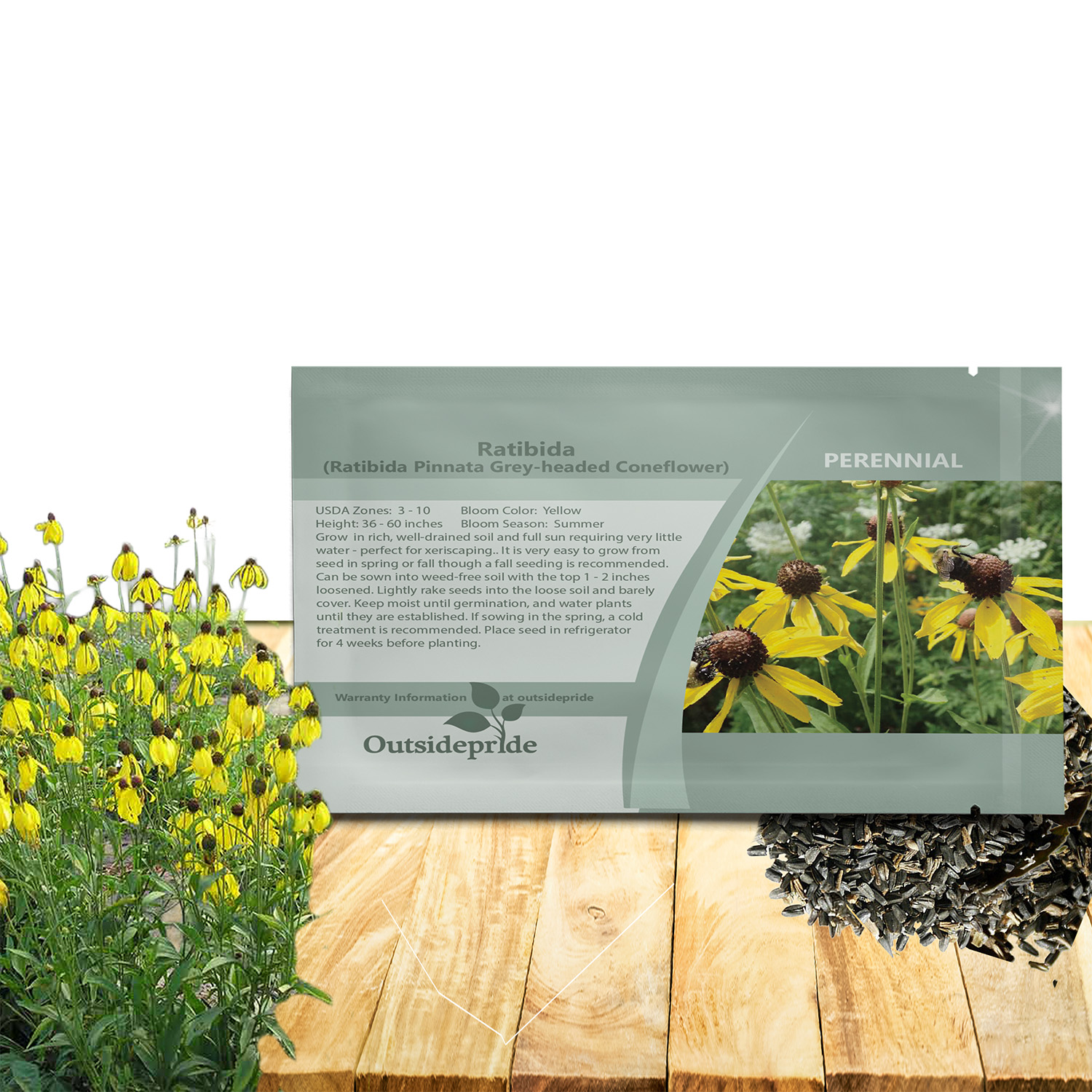 Grey-headed Coneflower Seed Packet