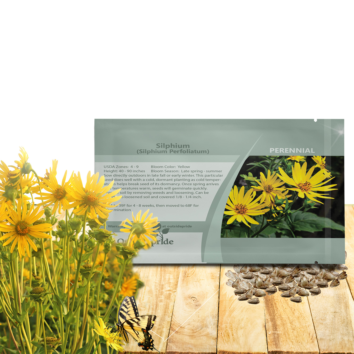 Cup Plant Flower Seed Packet