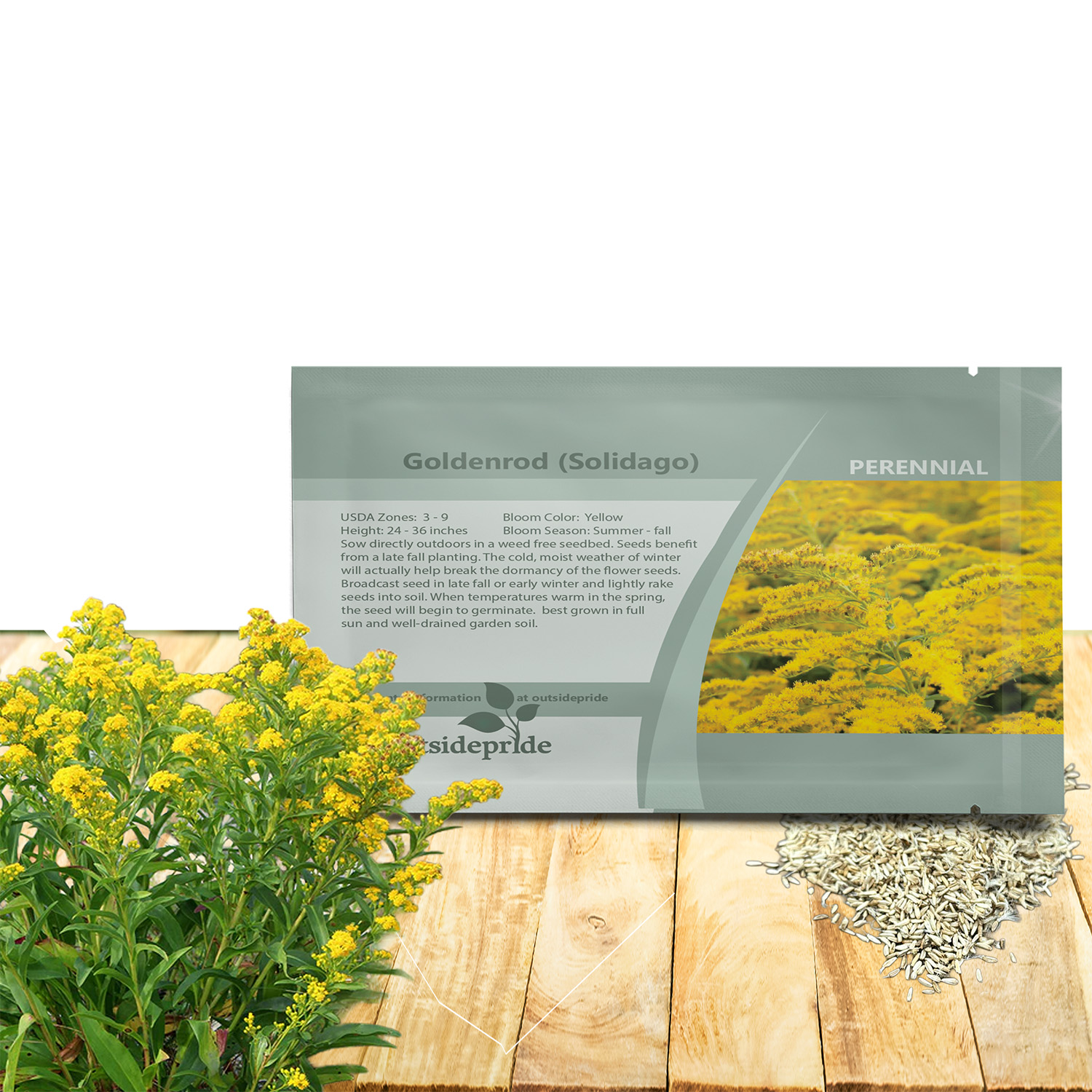 Solidago Seed Packet