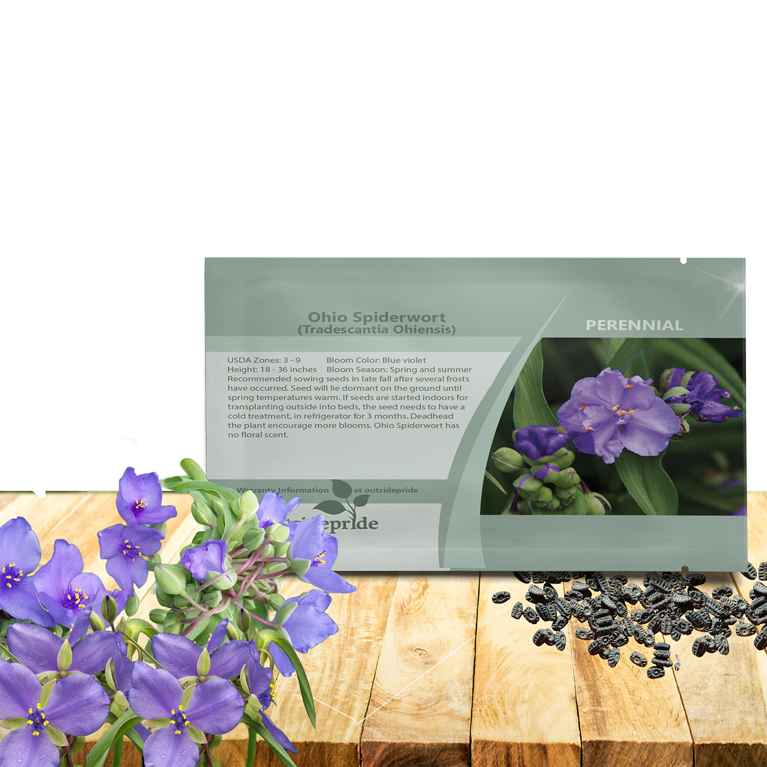 Ohio Spiderwort Flower Seed Packet