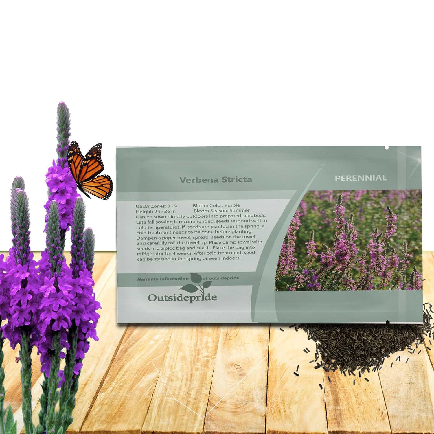Hoary Vervain Seed Packet