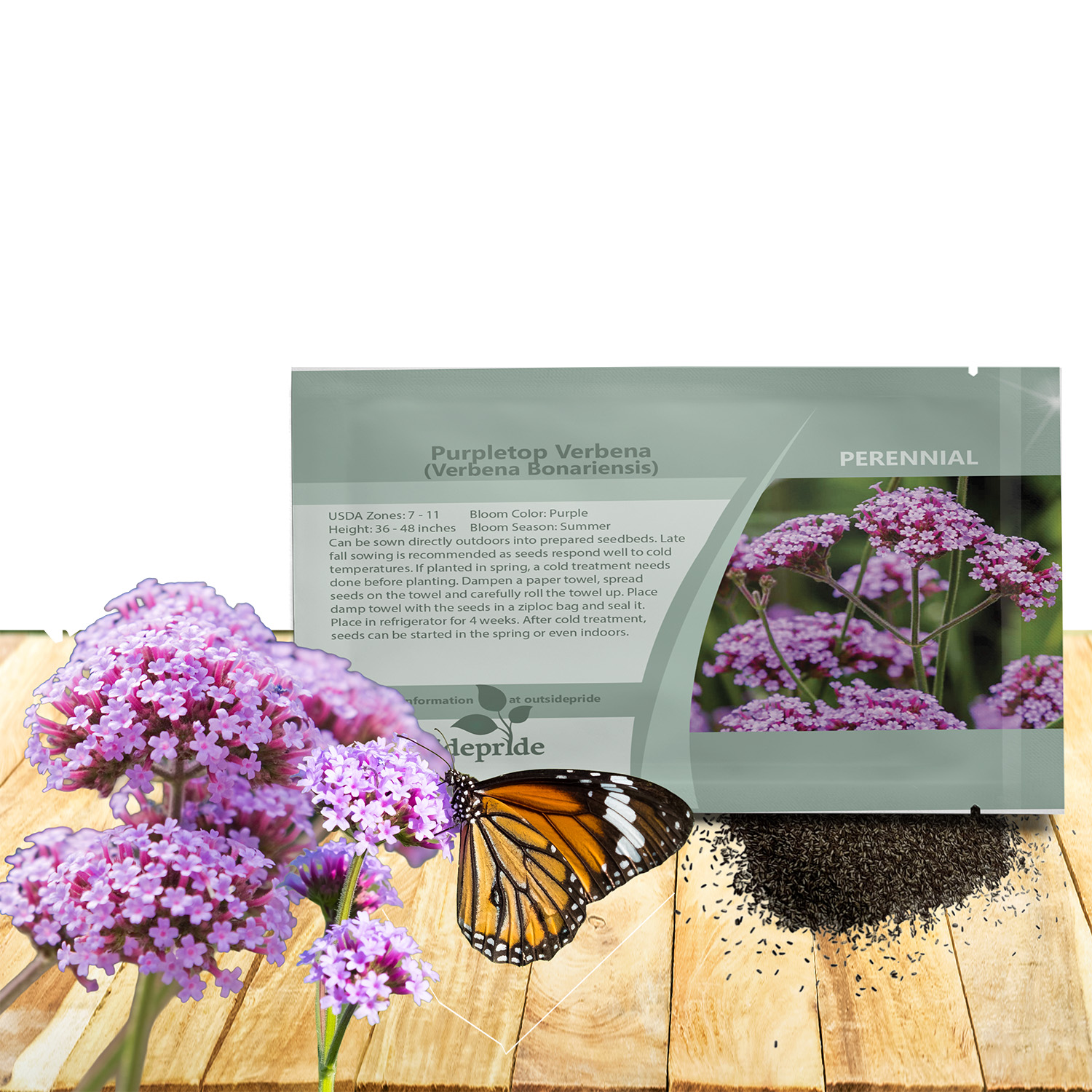 Purpletop Vervain Seed Packet
