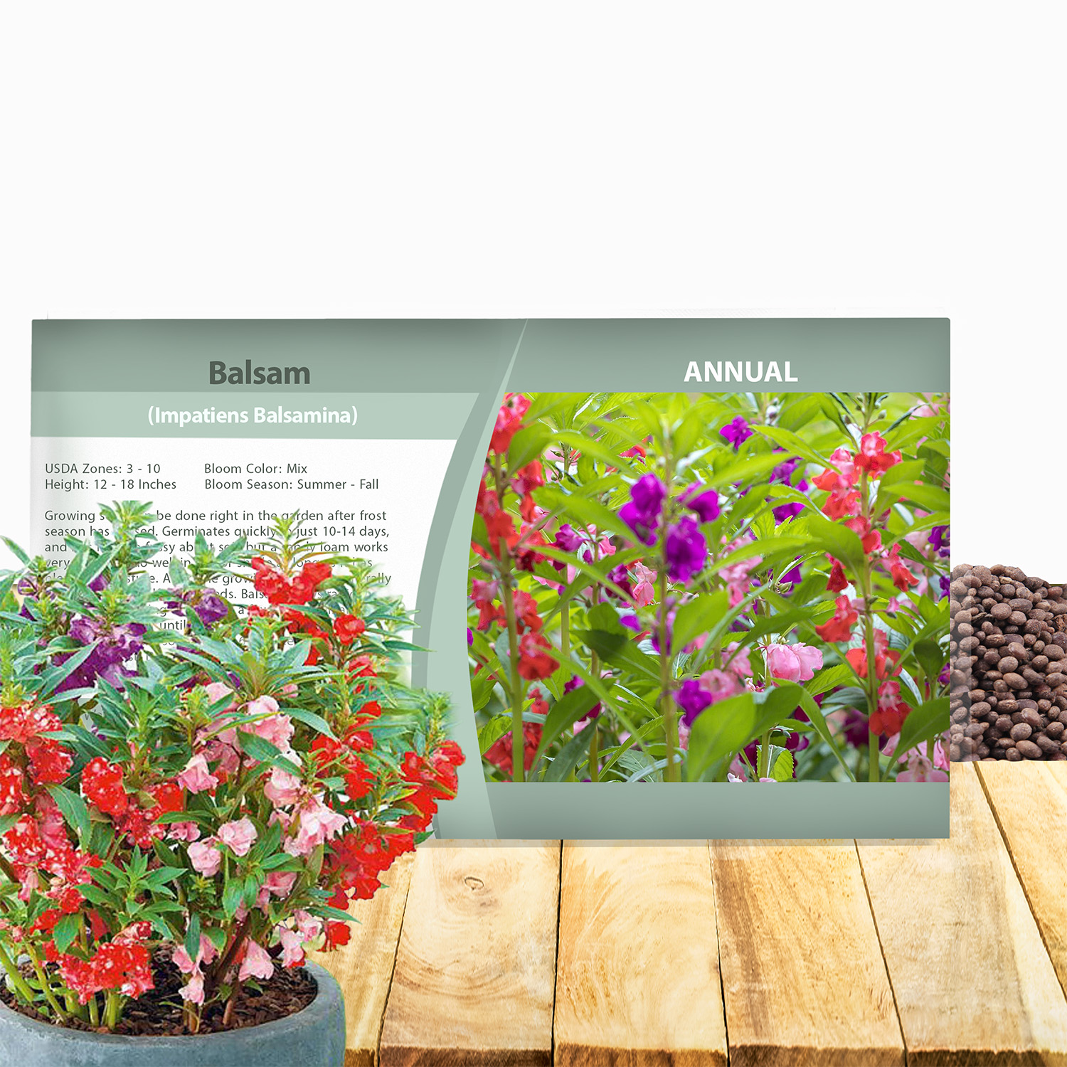Impatiens Balsam Seed Packets
