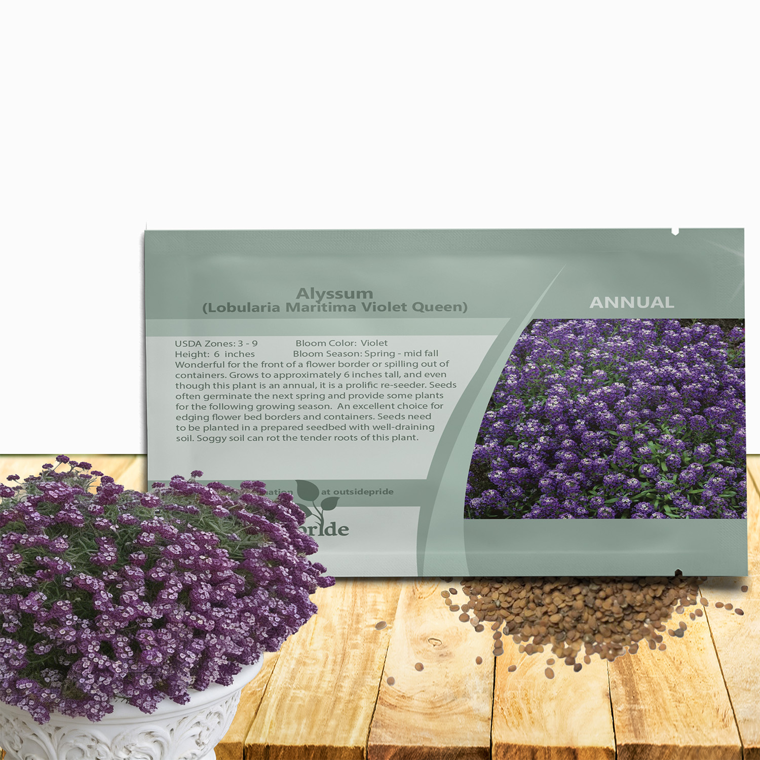 Alyssum Violet Queen Seed Packet