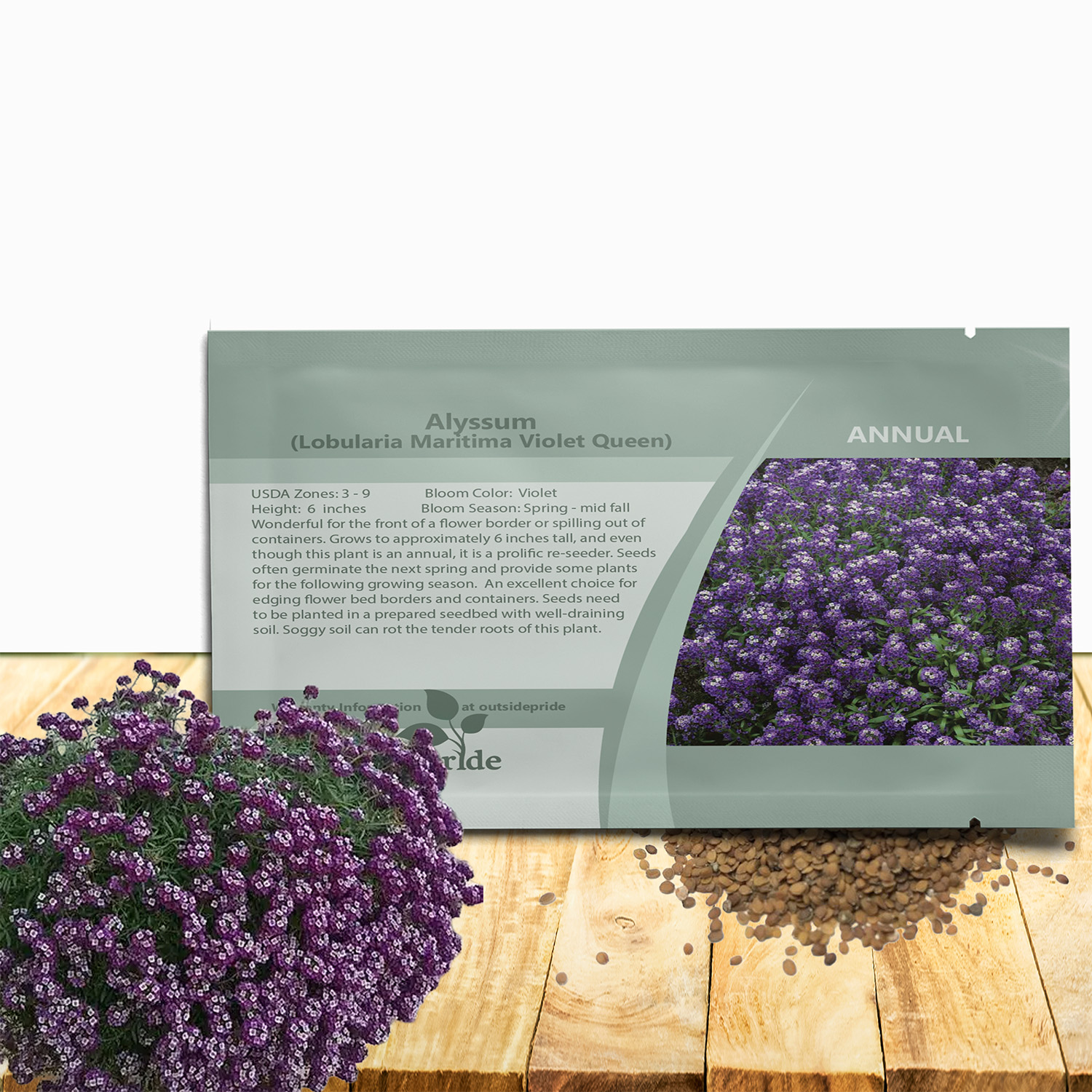 Alyssum Violet Queen Seed Packet