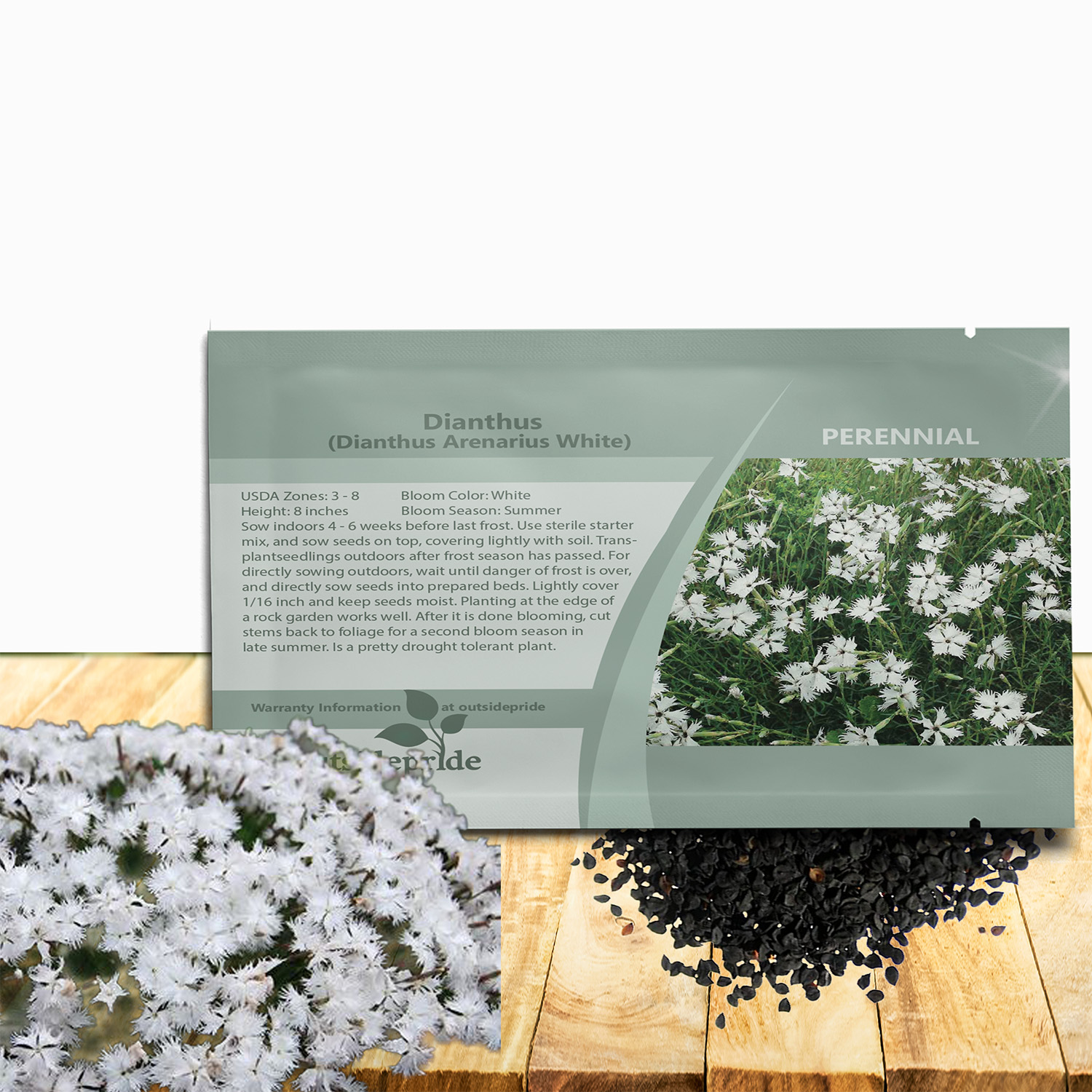 Dianthus Arenarius White Seed Packet
