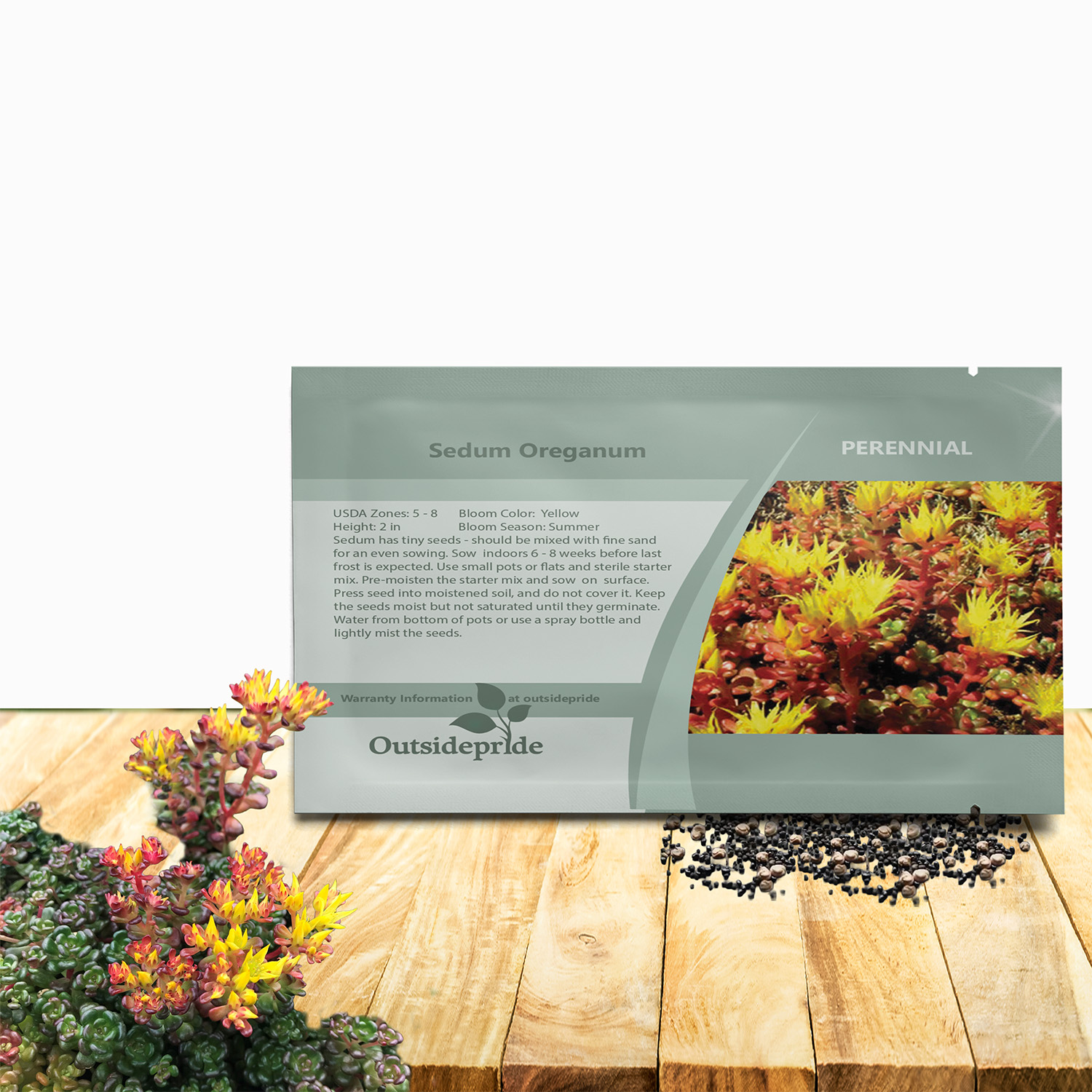 Sedum Oreganum Seed Packet