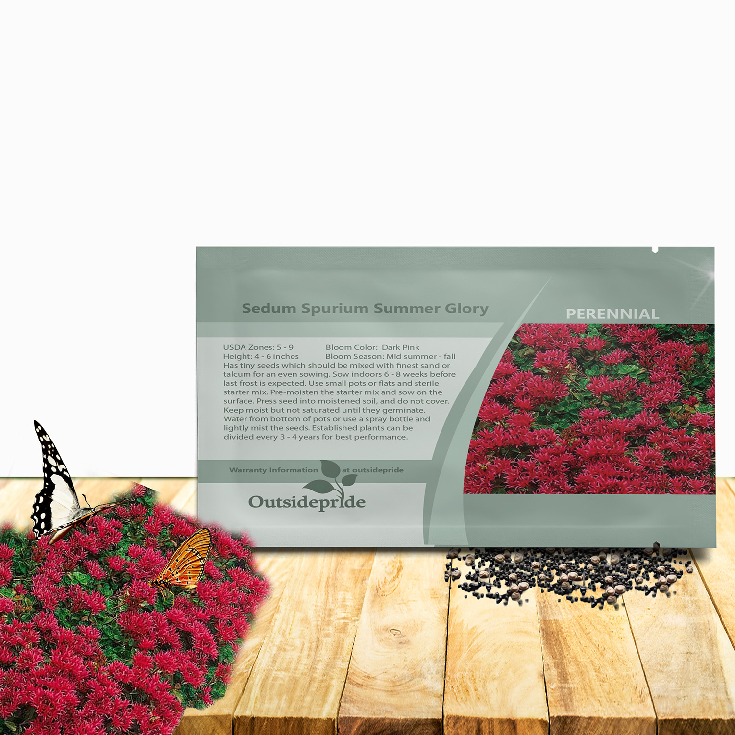 Sedum Summer Glory Seed Packet
