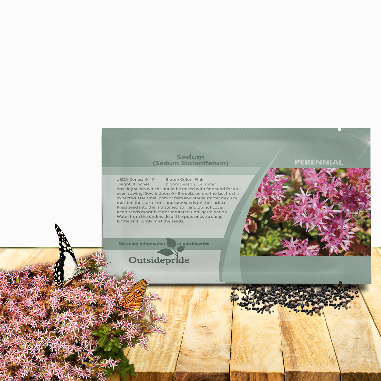 Sedum Stoloniferum Seed Packet