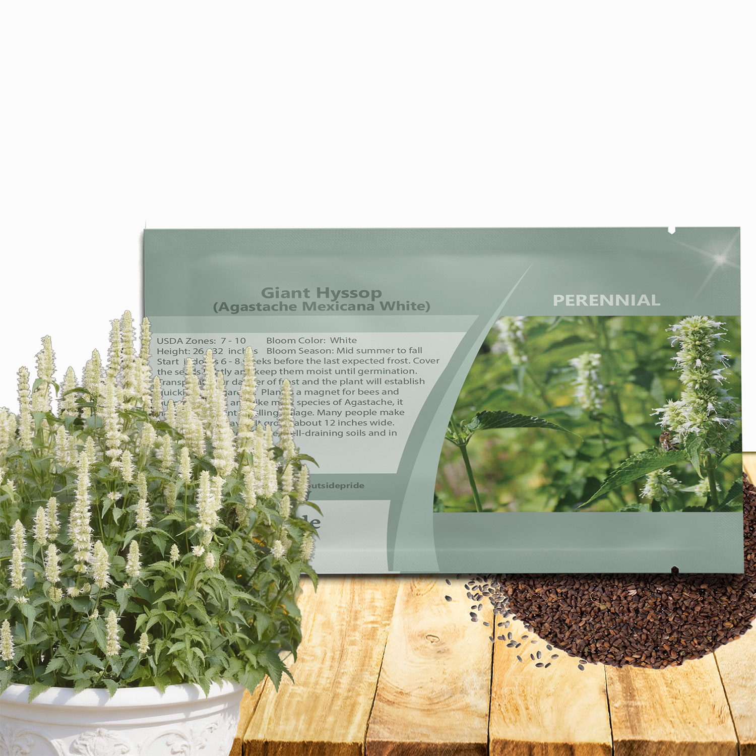 Agastache White Seed Packet For Planting