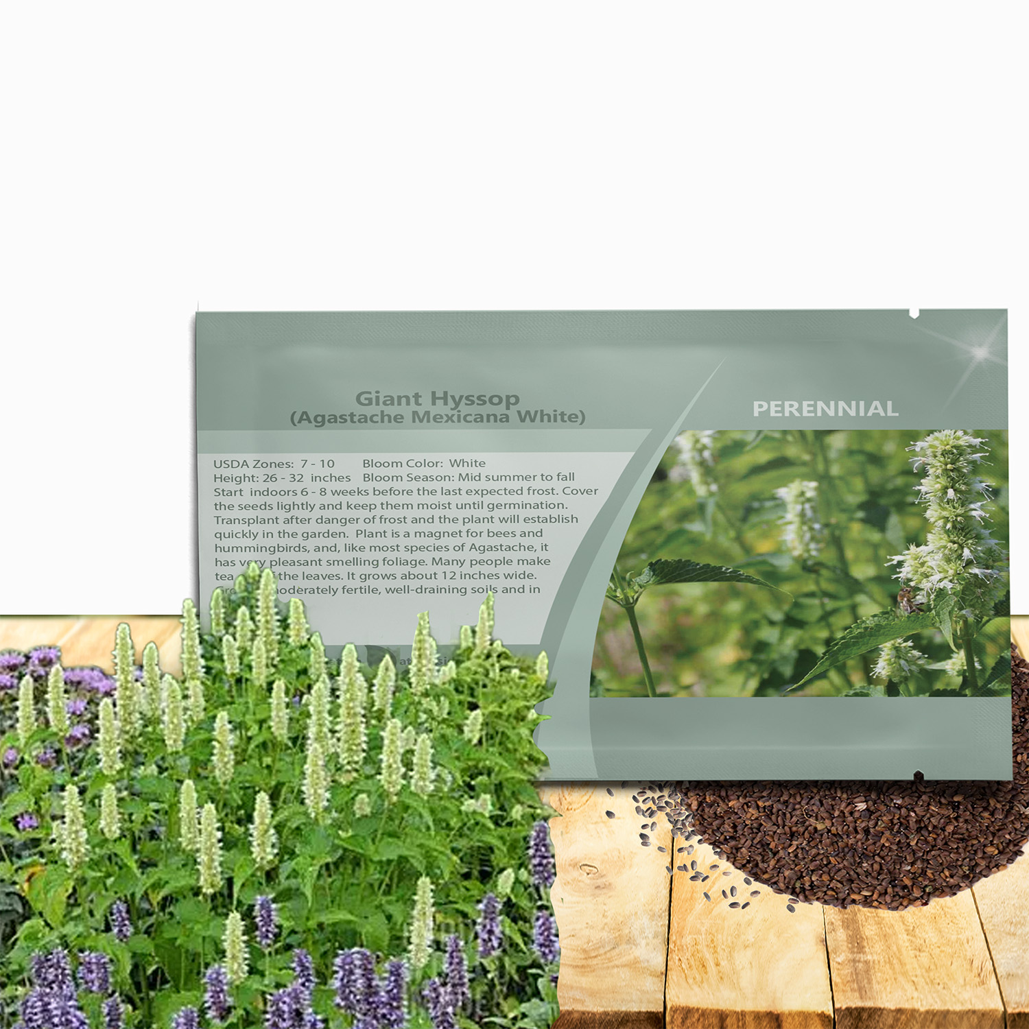 Agastache White Seed Packet For Planting