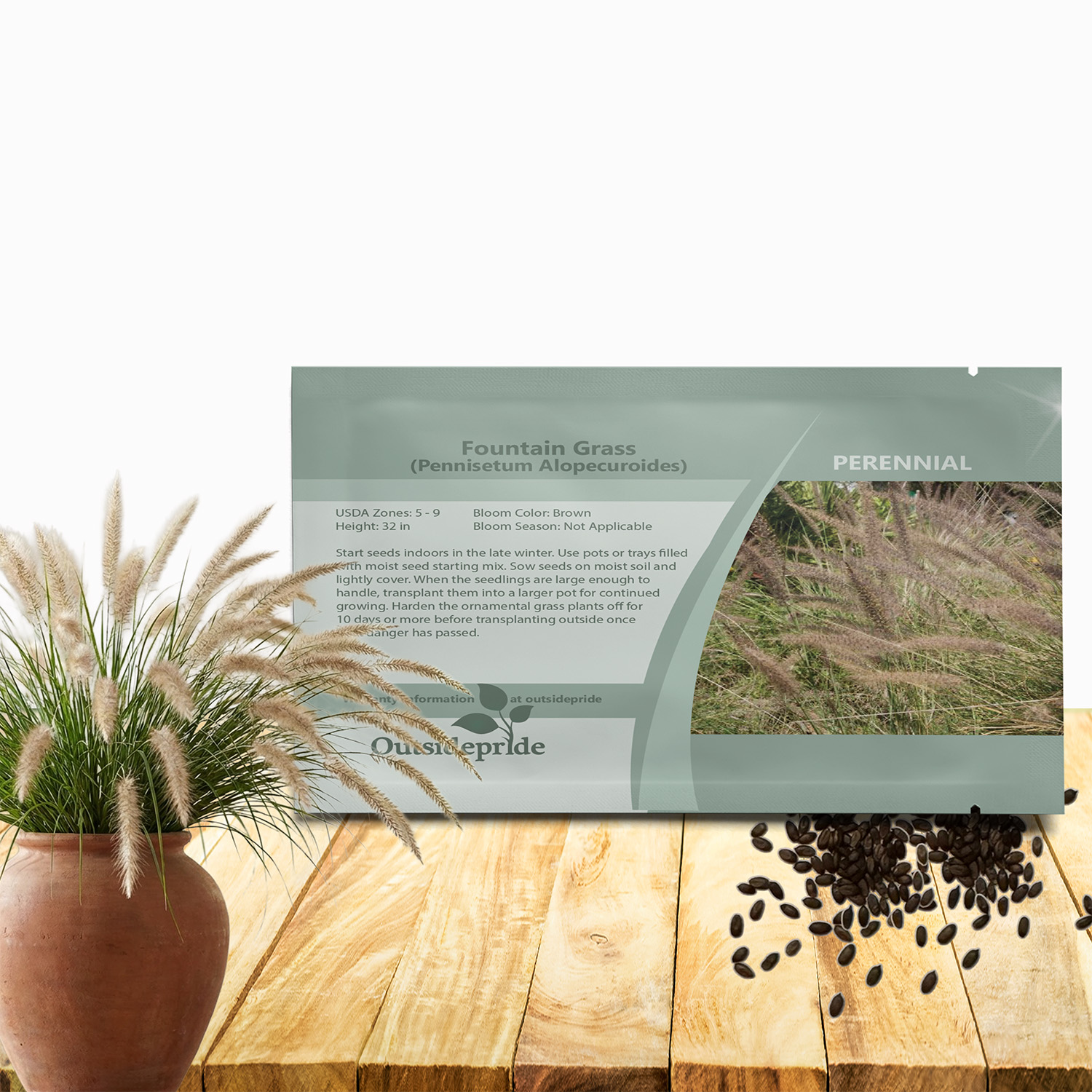Pennisetum Alopecuroides Seed Packet