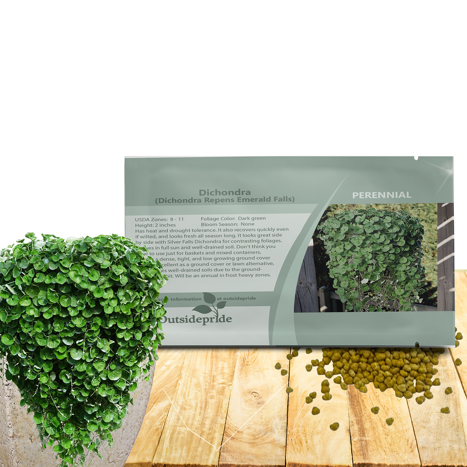 Dichondra Emerald Falls Seeds For Planting