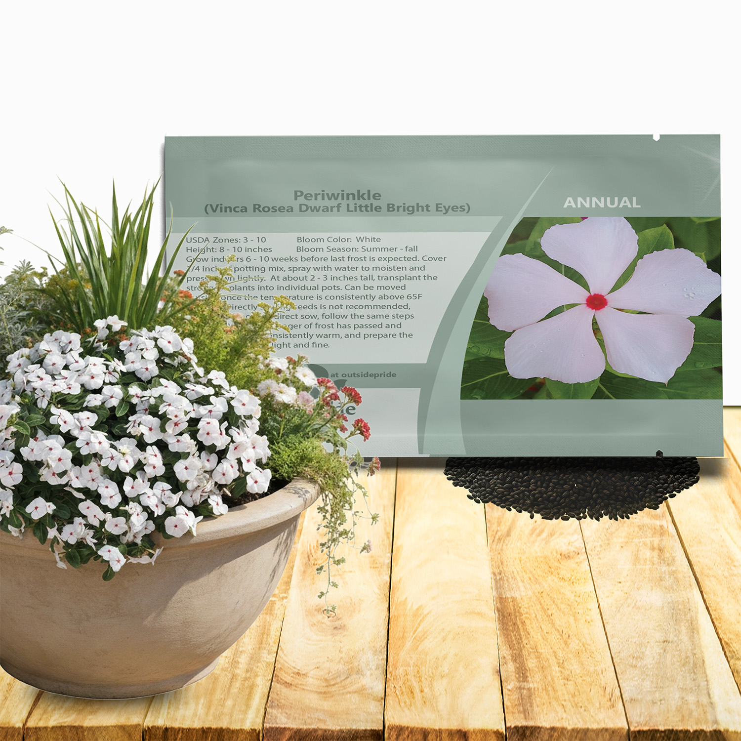 Periwinkle Bright Eyes Seed Packet