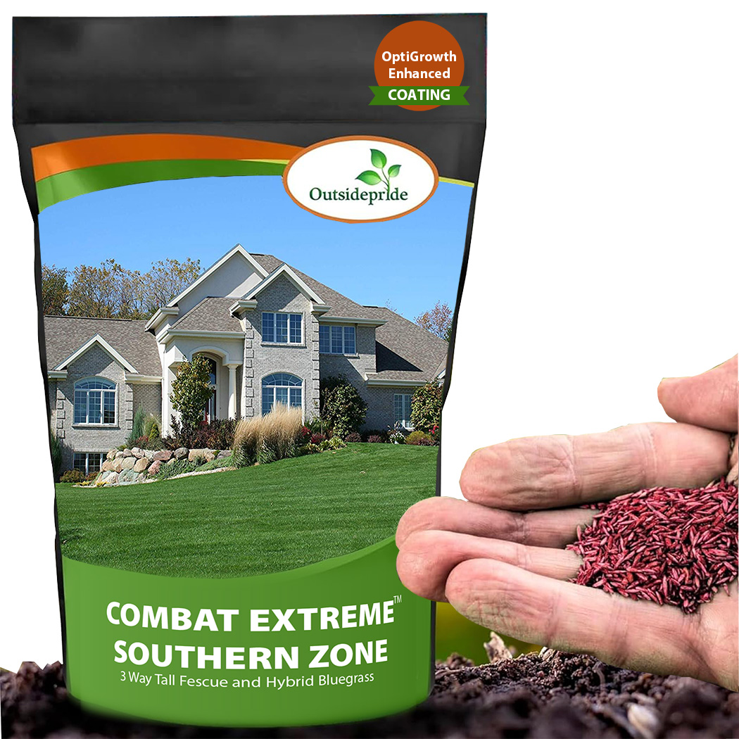 Combat Southern Lawn Grass Seed