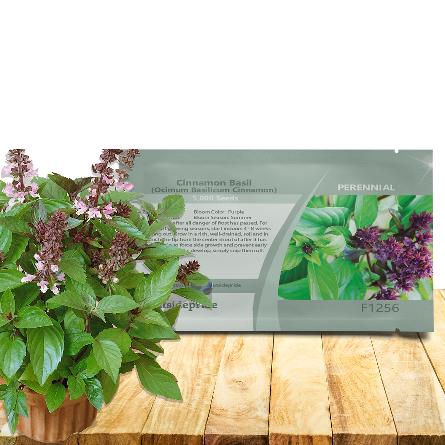 Ocimum Basil Cinnamon Seed Packet