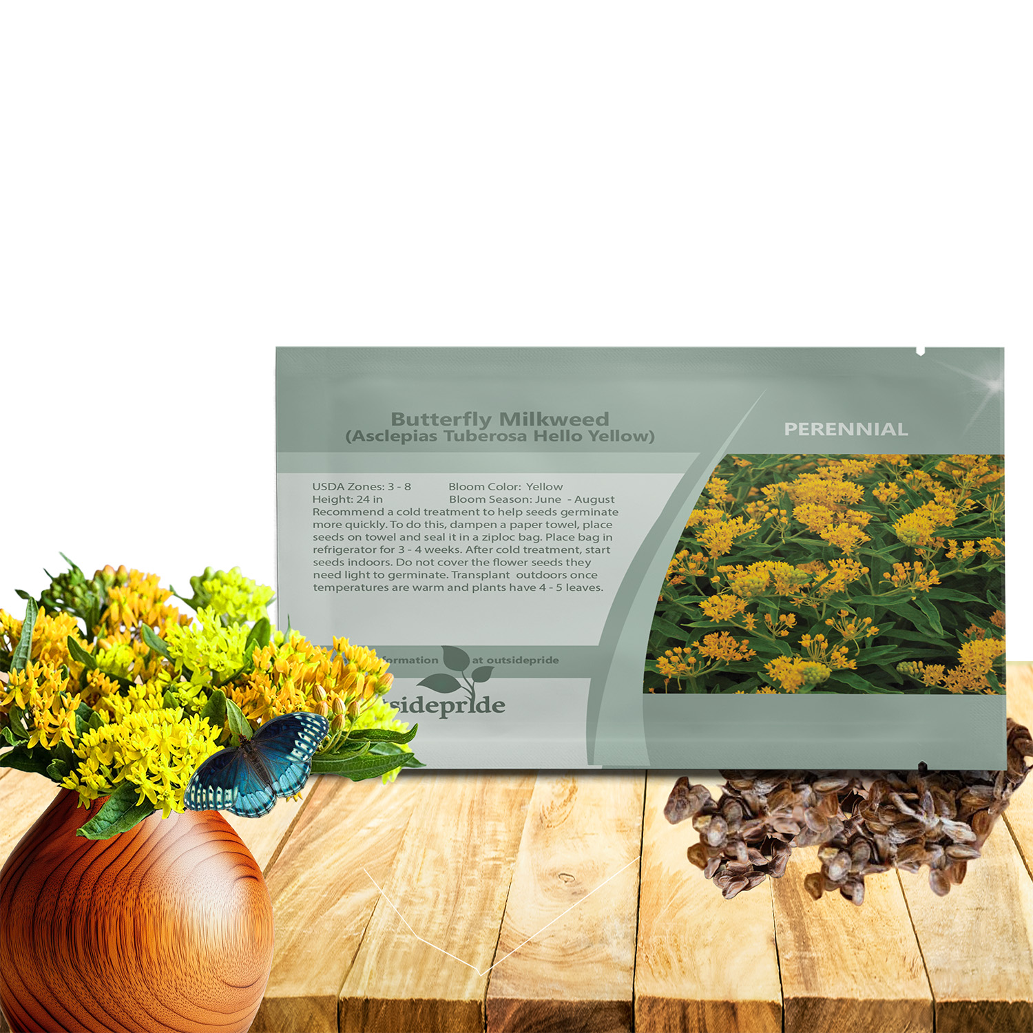 Asclepias Tuberosa Yellow Seed Packet