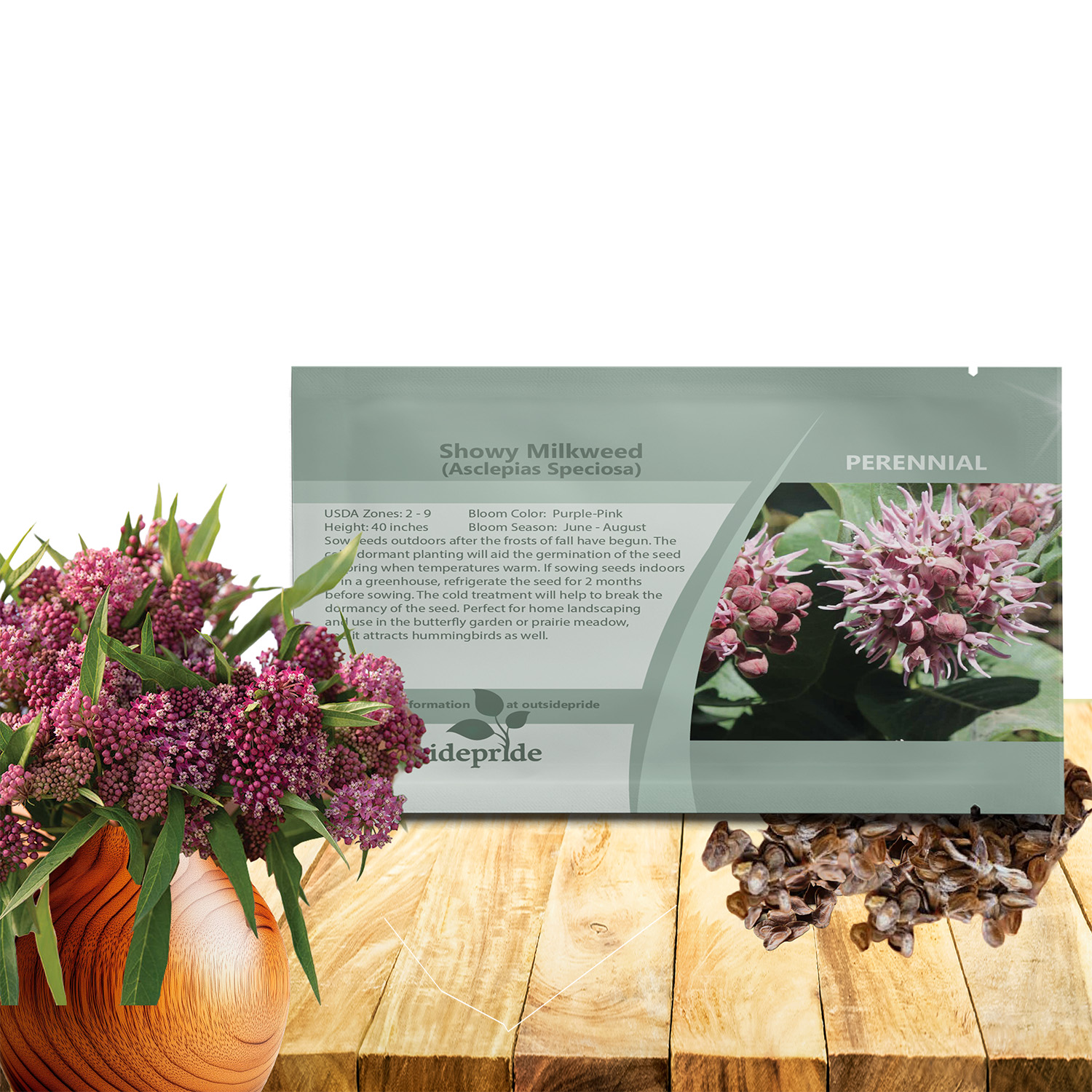 Showy Milkweed Seed Packets