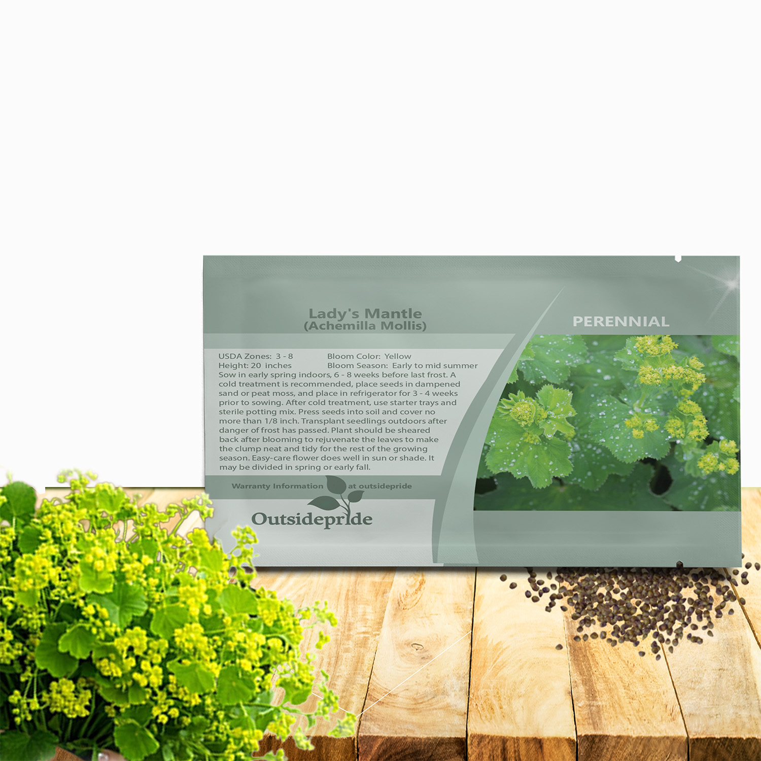 Lady's Mantle Flower Seed Packet For Planting
