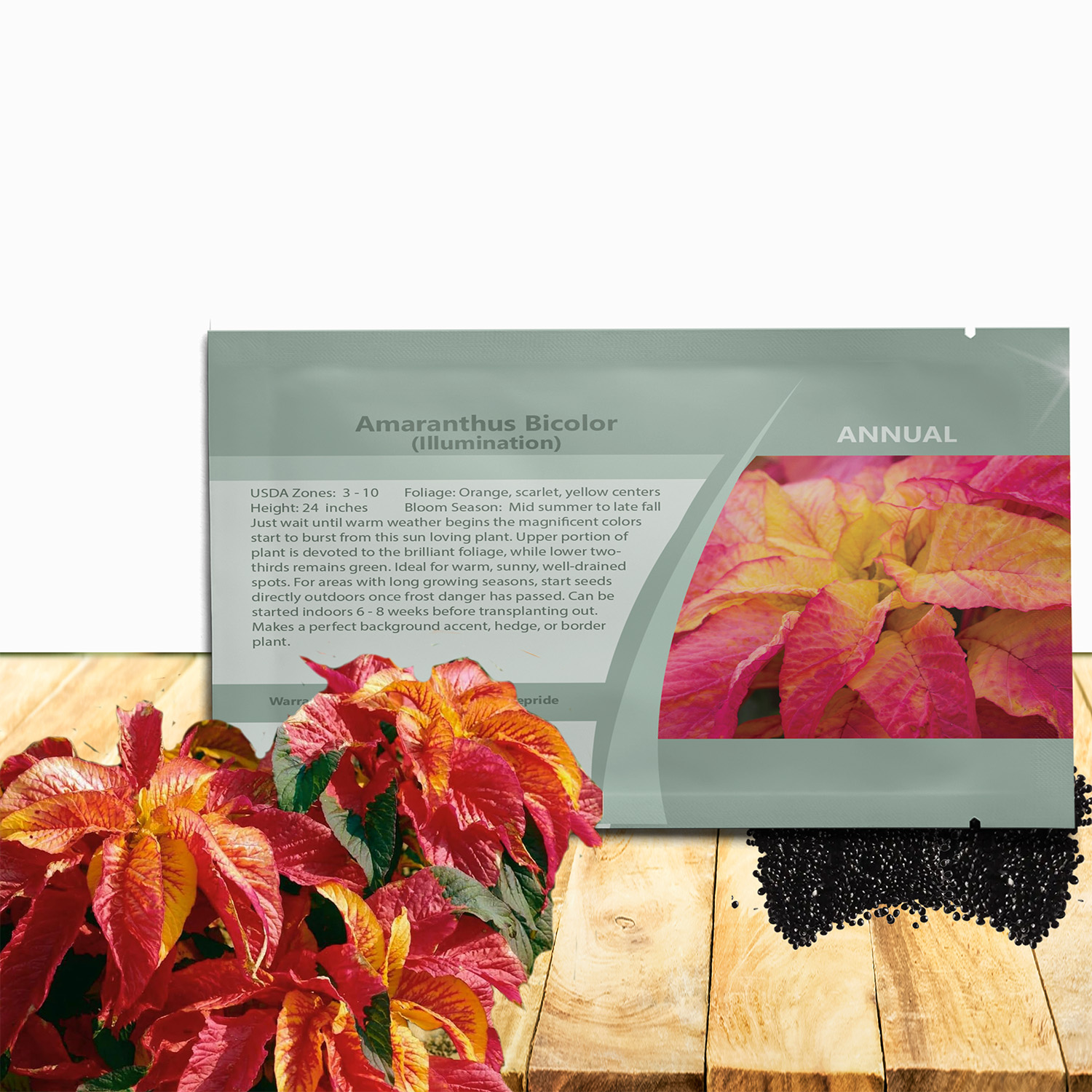 Amaranthus Illumination Seed Packet For Planting