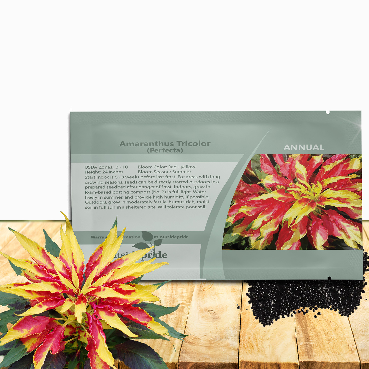 Amaranthus Perfecta Seed Packet For Planting