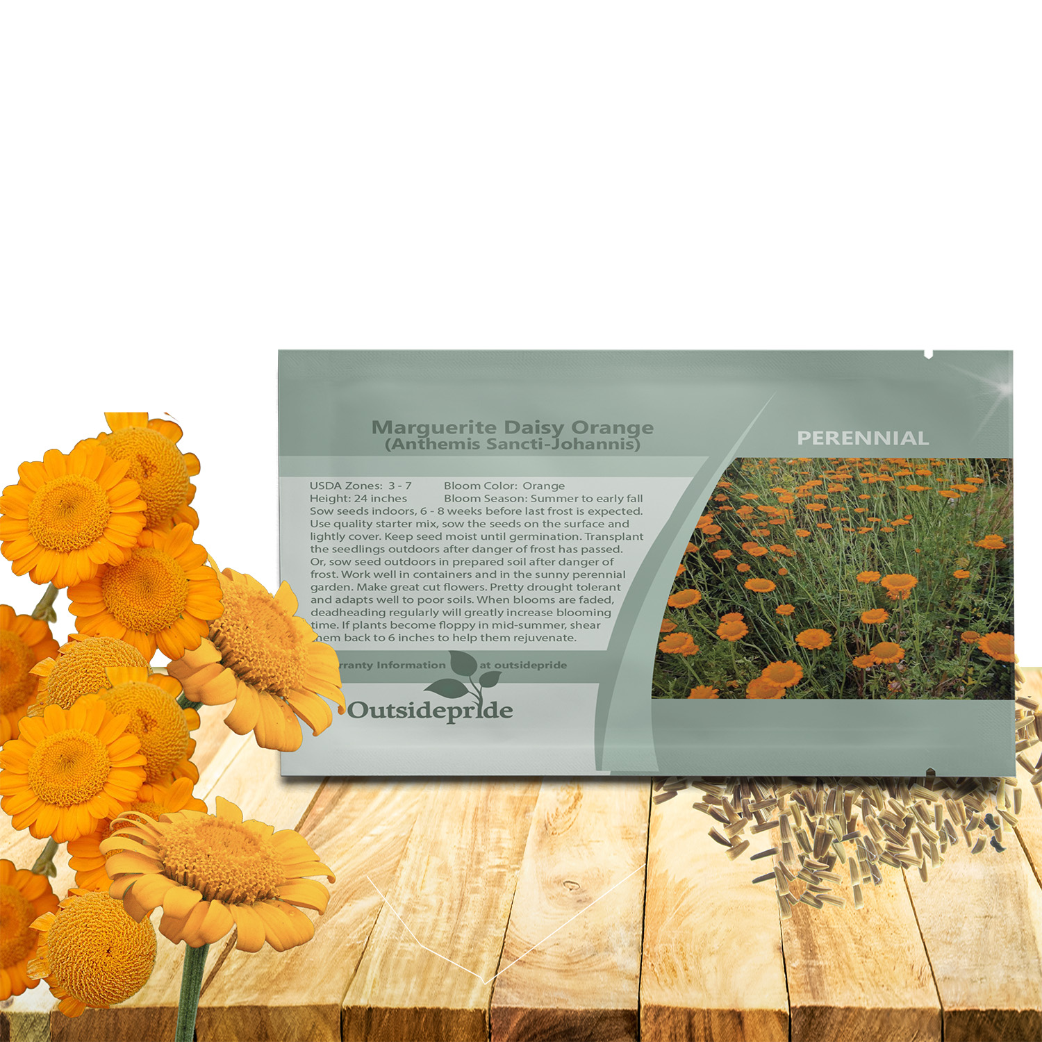 Marguerite Daisy Orange Seed Packet
