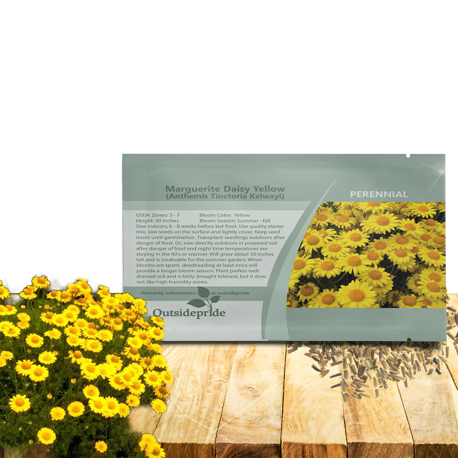 Marguerite Daisy Yellow Seed Packet