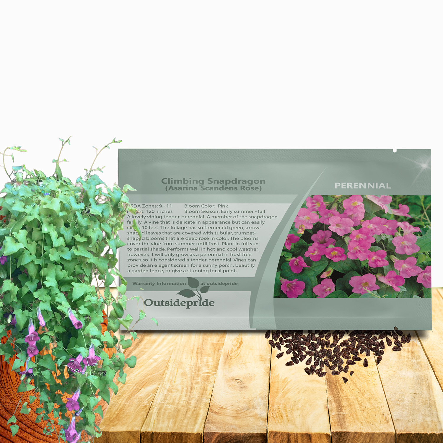 Rose Climbing Snapdragon Seed Packet