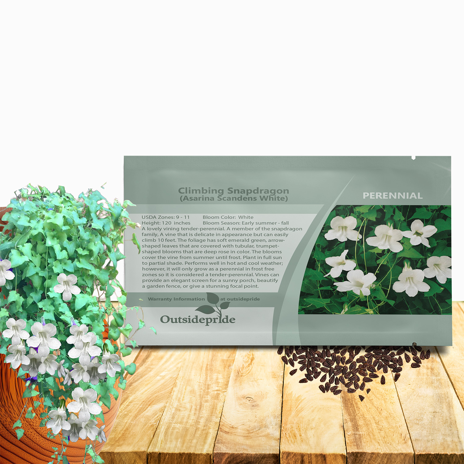 Climbing Snapdragon White Seed Packet