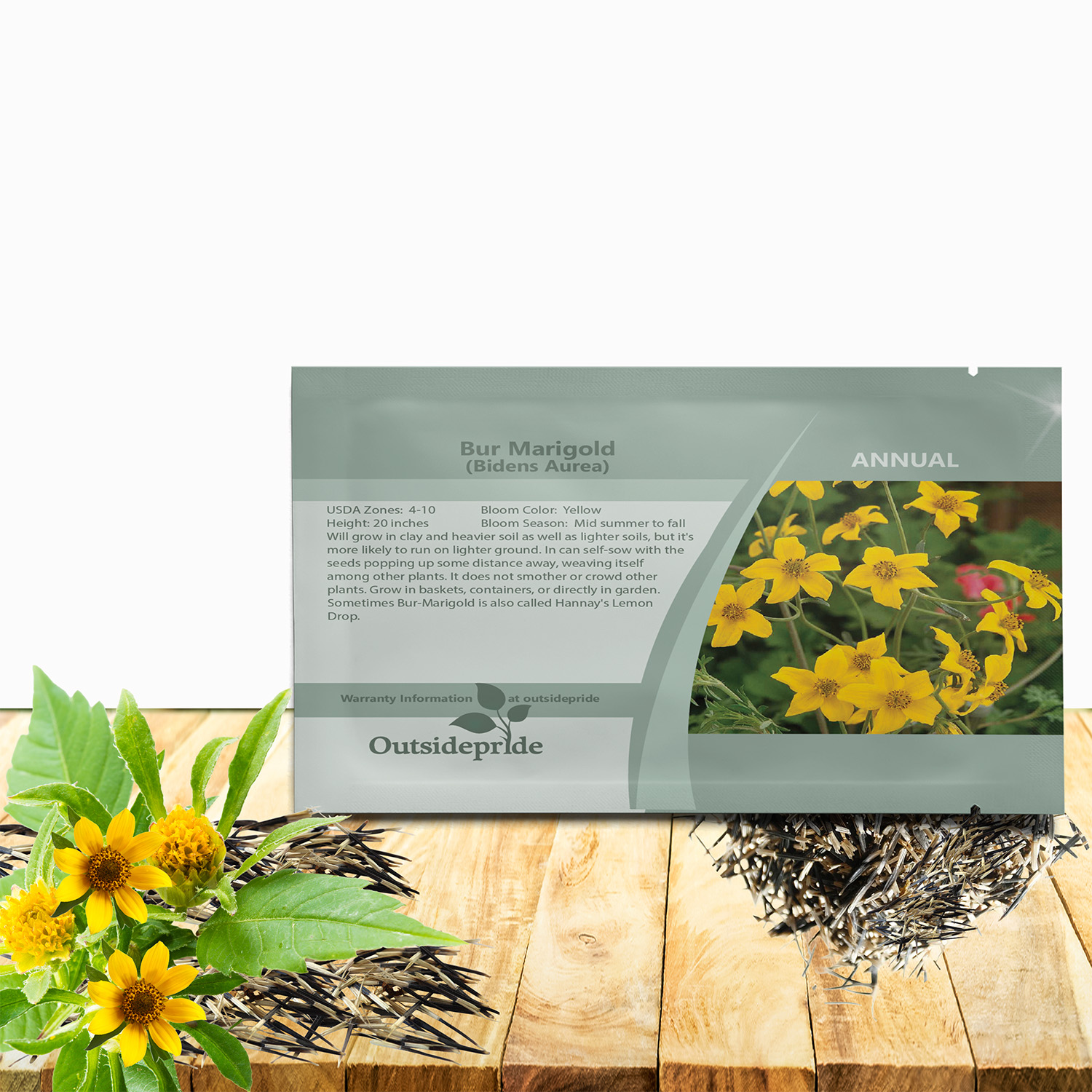Bur Marigold Flower Seed Packet For Planting