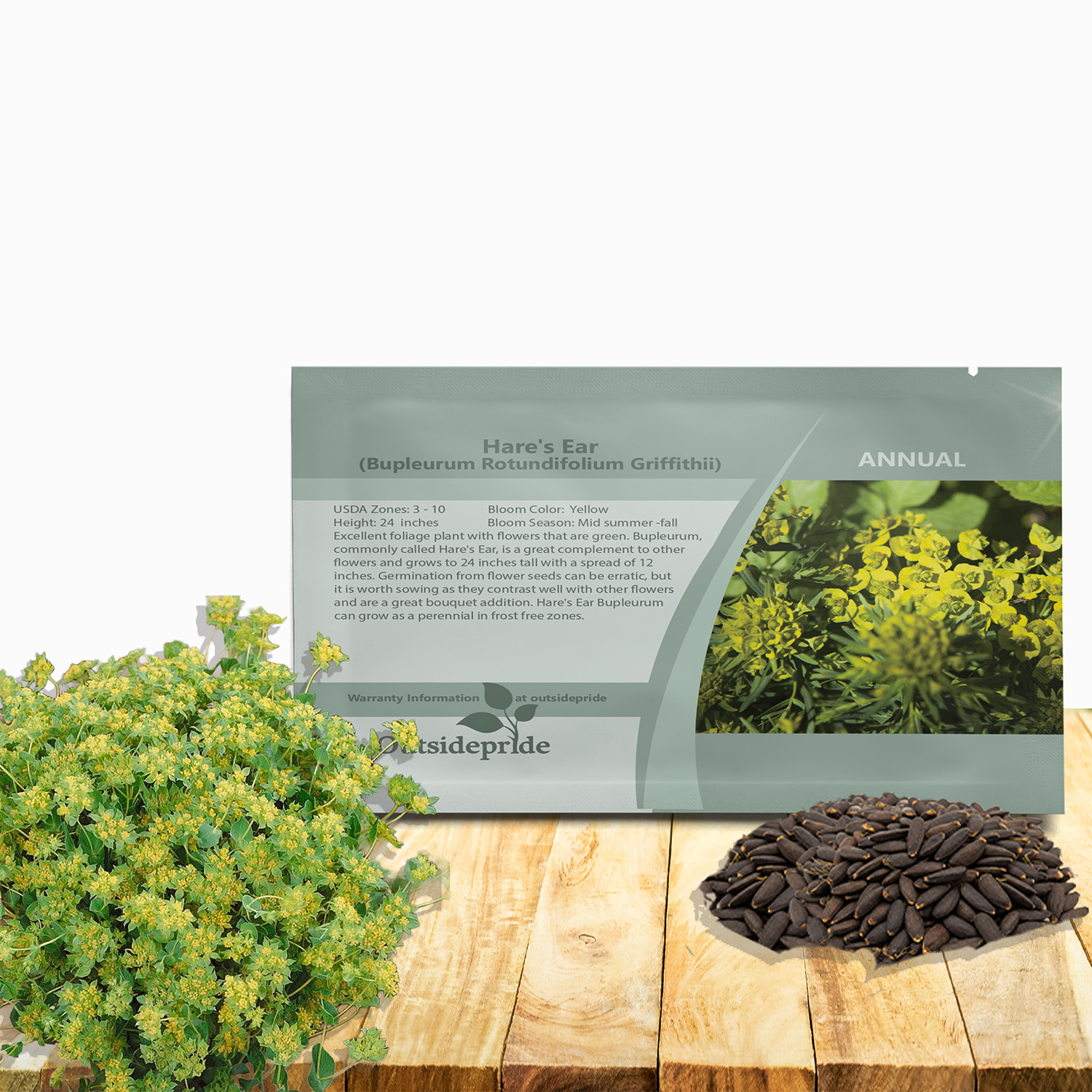 Bupleurum Flower Seed Packet For Planting
